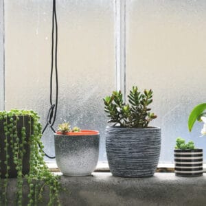 Mehr als dekorativ: Fensterfolien können auch Sichtschutz bieten Vor einem Milchglas-Fenster stehen einige Pflanzen
