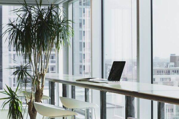 Mit Pflanzen wirkt der Raum direkt frischer Ein Laptop steht auf einem Tisch direkt vor einem Fenster