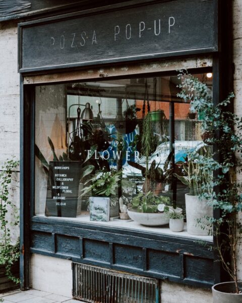 Ein Blumenladen in dessen Schaufenster Pflanzen ausgestellt sind