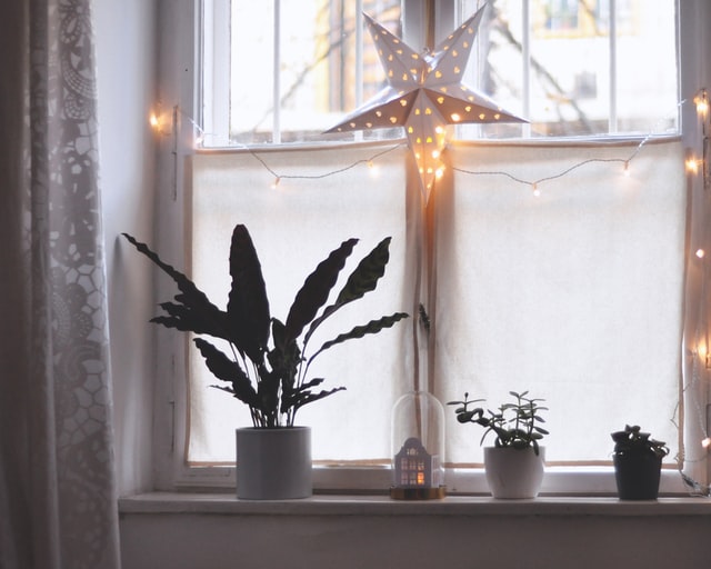 Vor einem Fenster hängt ein beleuchteter Stern und eine Lichterkette. Darunter stehen einige Pflanzen