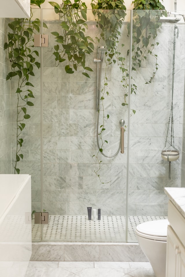 Eine Dusche mit Glastür, darin hängen Pflanzen von der Decke