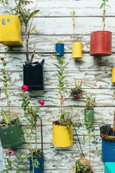 Viele Möglichkeiten zum Upcyceln warten auf Sie Blumen hängen an einer Wand und sind in alte Dosen gepflanzt worden.
