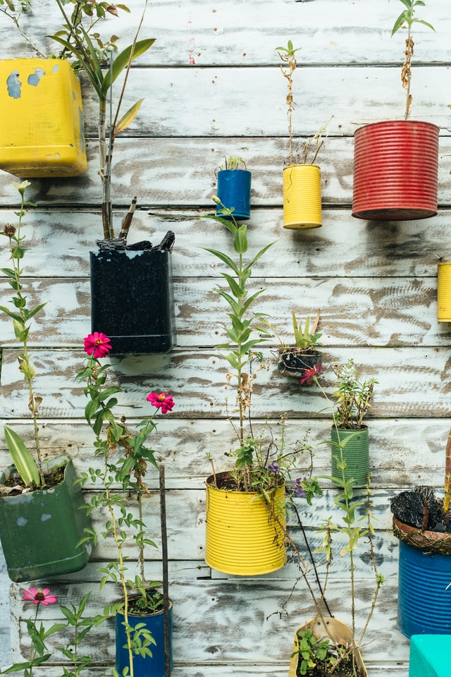 Blumen hängen an einer Wand und sind in alte Dosen gepflanzt worden.