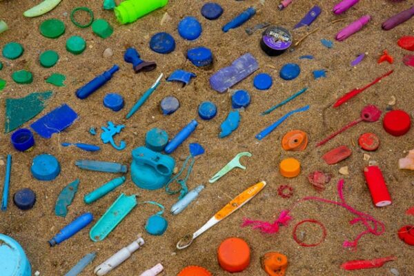 Verschiedenfarbige Plastikteile liegen sortiert am Strand