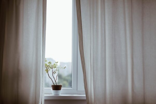 Eine Pflanze, die auf einem Fensterbrett steht. Vorhänge hängen daneben