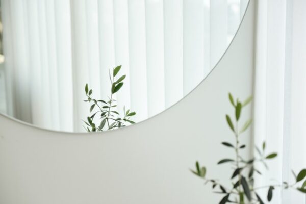 Ein runder Spiegel, davor eine Pflanze