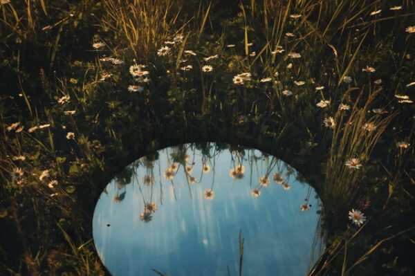 Ein Spiegel liegt inmitten einer Blumenwiese