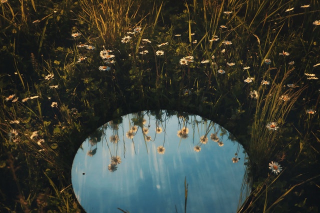 Eine Pfütze, in der sich Blumen spiegeln