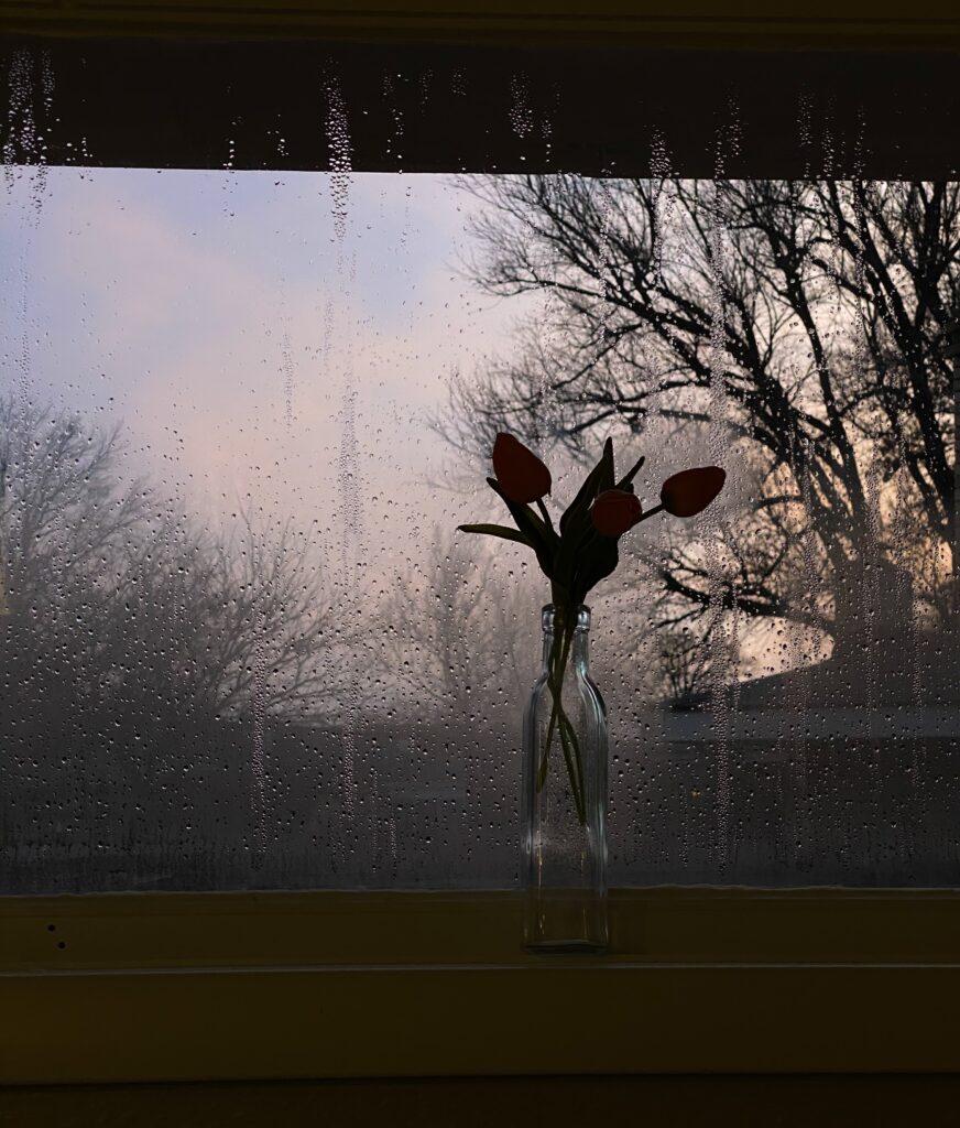 beschlagenes Fenster, davor eine Vase mit Blumen