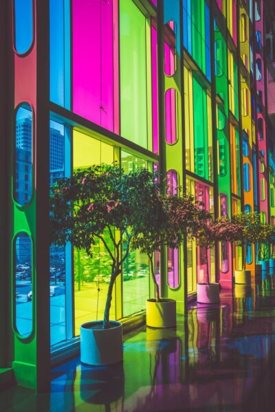 Mit Folien und Nassverklebung arbeiten Große Wand aus Glasfenstern wirft buntes Licht auf eingetopfte Bäume