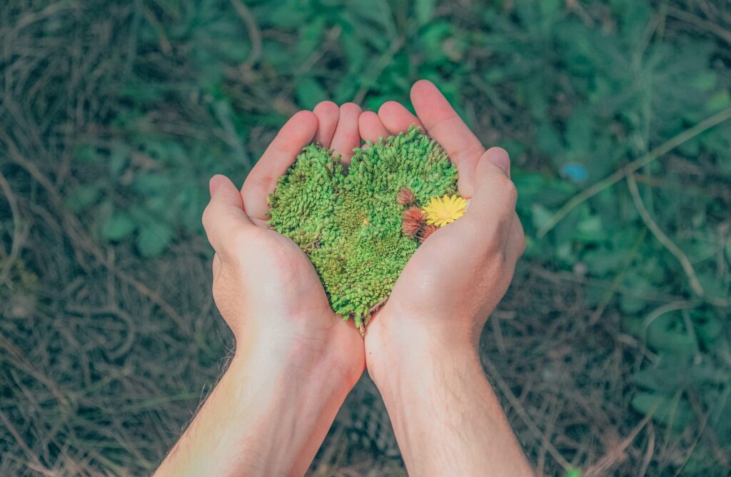 Person hält aus Moos geformtes Herz in den Händen, im Hintergund ist Waldboden zu erkennen
