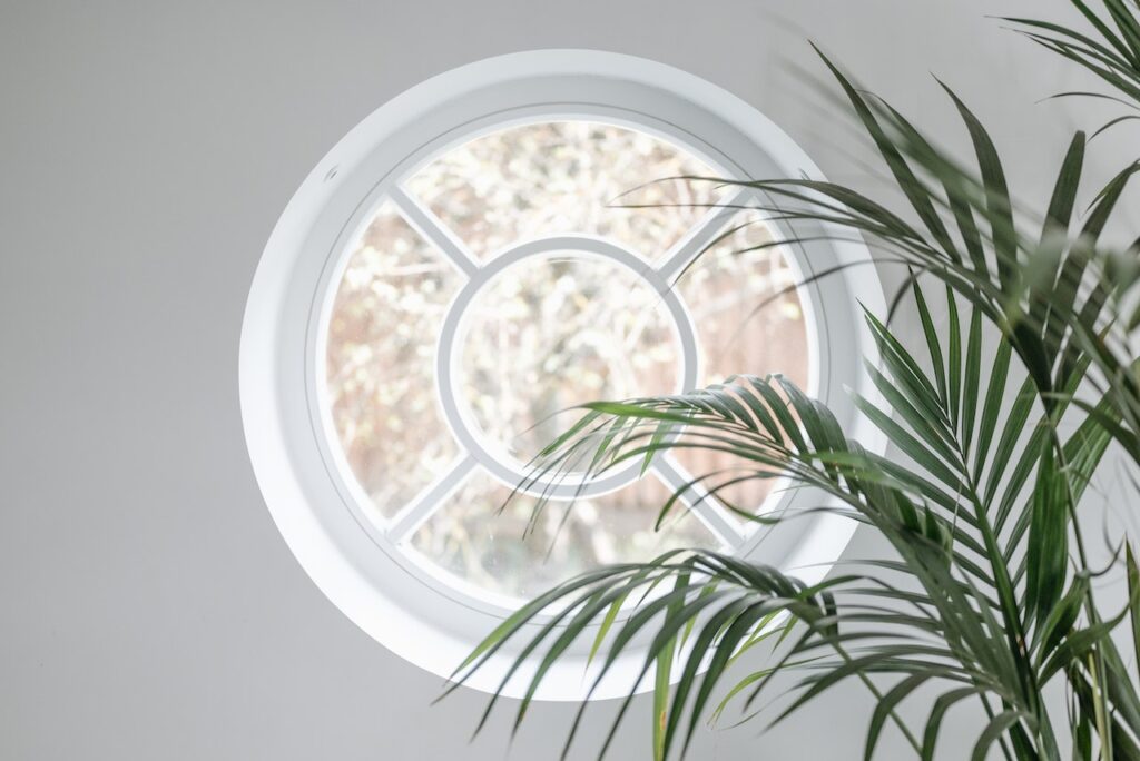 Ein rundes Fenster mit einer Grünpflanze davor