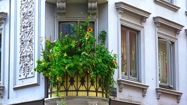 Ein kleiner Balkon an einer Hausecke, der stark begrünt und dessen Metallgitter durch eine Bambusmatte abgedeckt ist