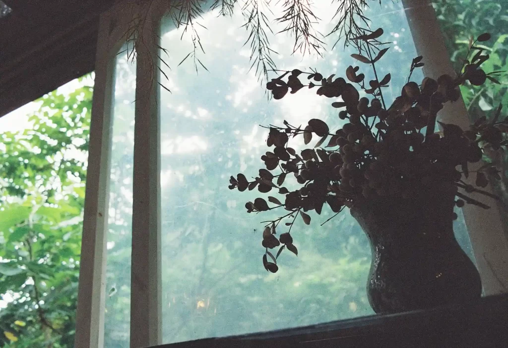 Fenster mit milchiger Folie und Vase im Gegenlicht mit Pflanzen draußen