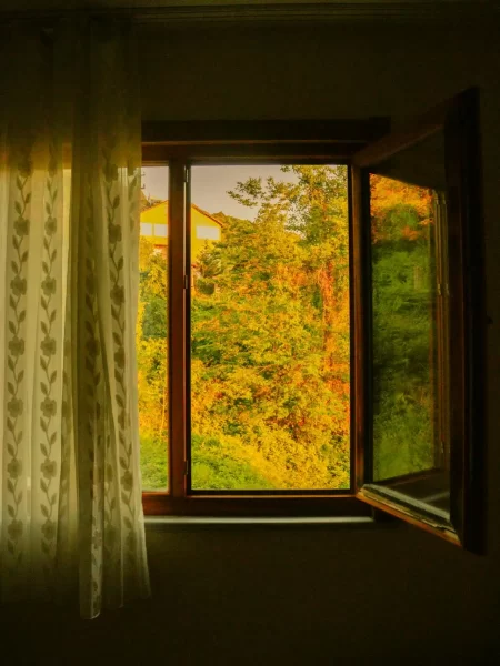 Offenes Fenster mit Vorhang und Blick ins grüne Herbstlaub bei Sonnenuntergang.