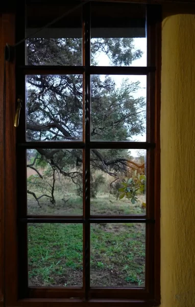 Blick durch ein rustikales Holzfenster mit Gitter auf einen Baum im Grünen