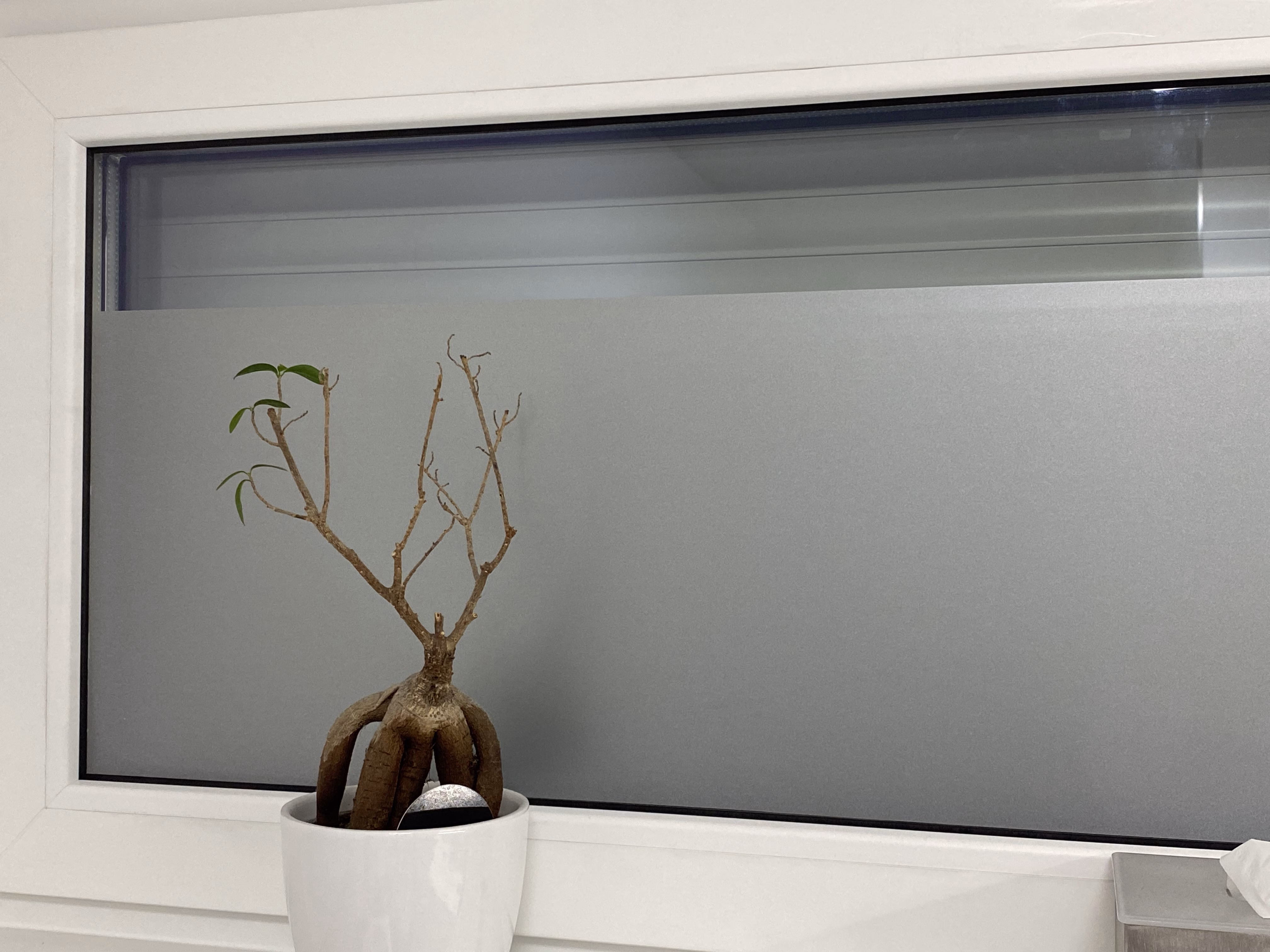 Satinatofolie auf einer Fensterscheibe