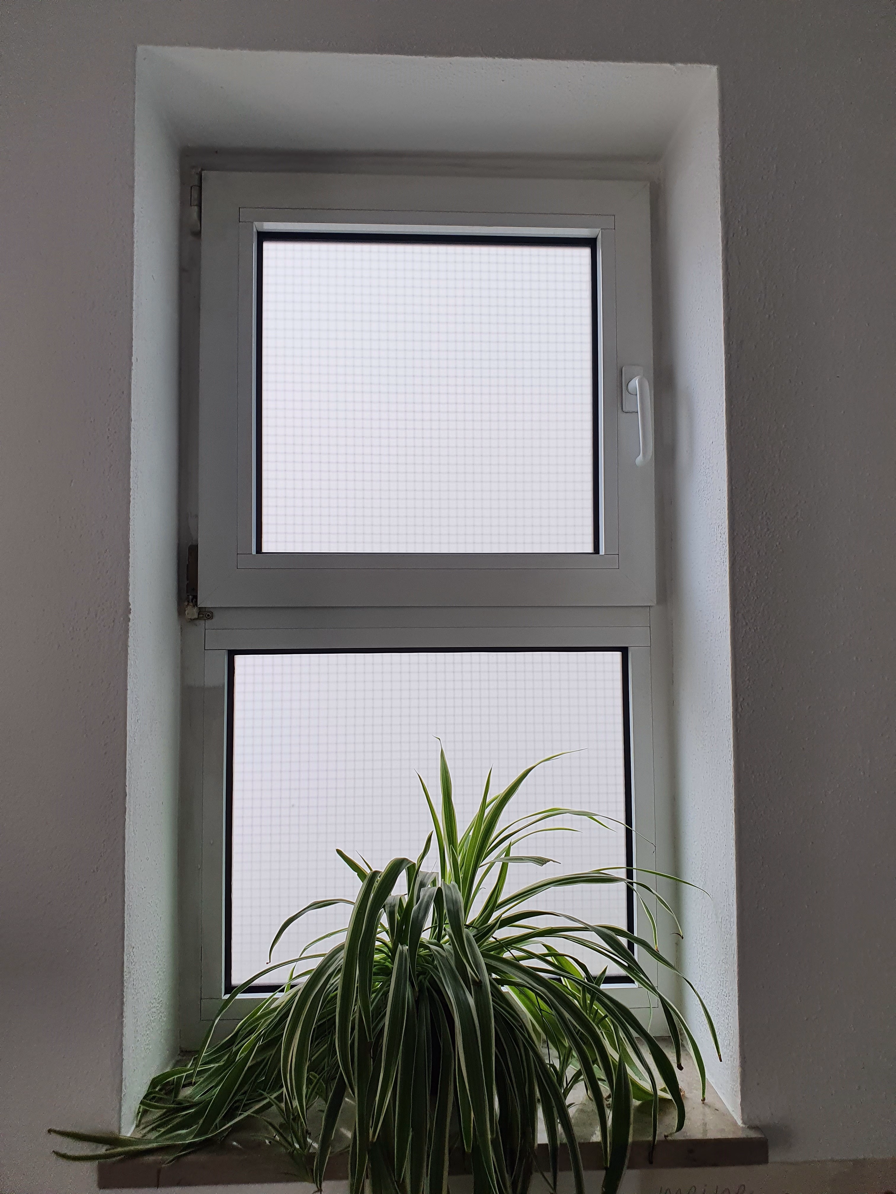 Ätzglasdesign Sichtschutz Fensterfolie