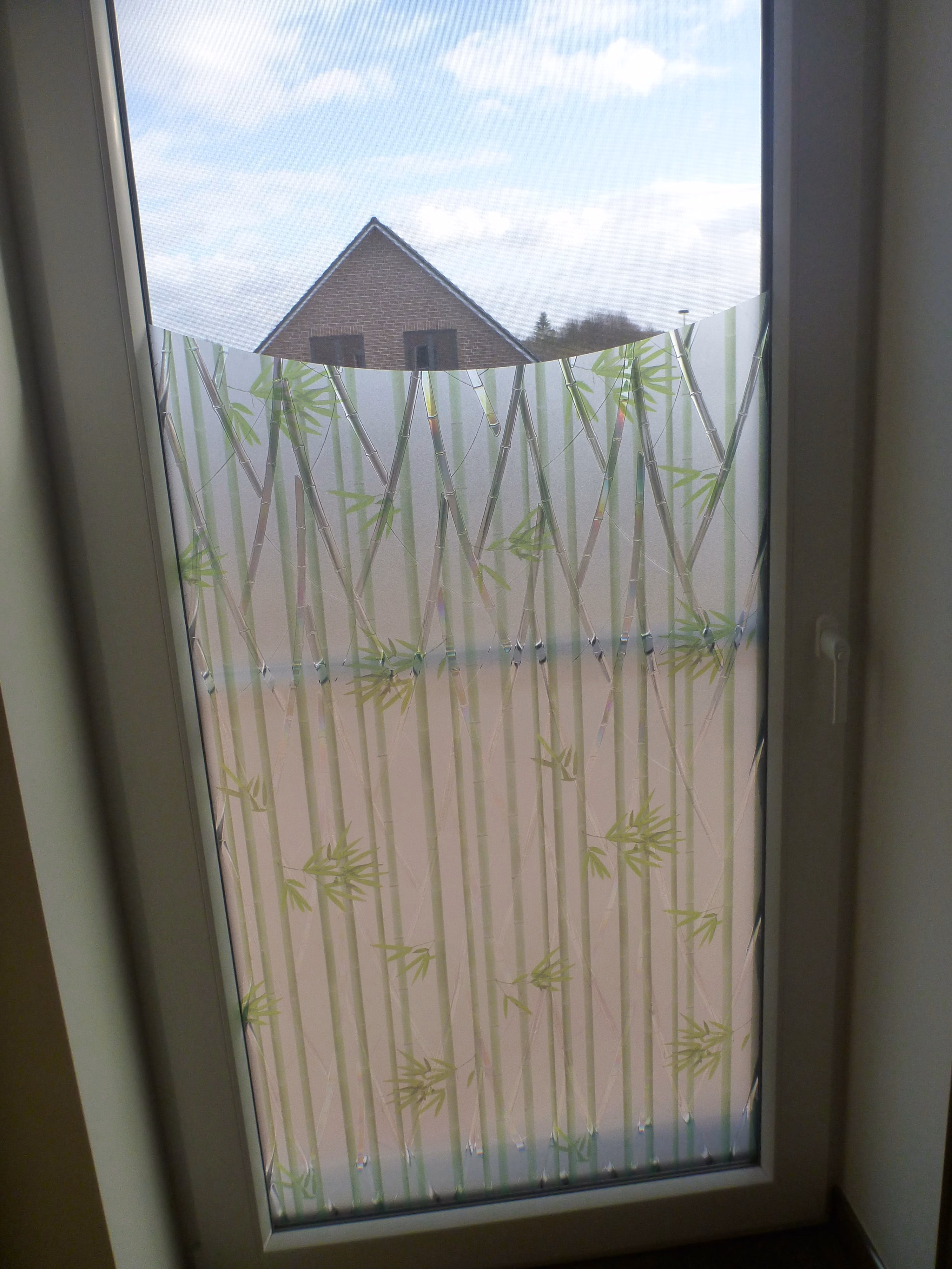 Adhäsionsfolie, transparent matt mit grünem Bambus (geprägt)