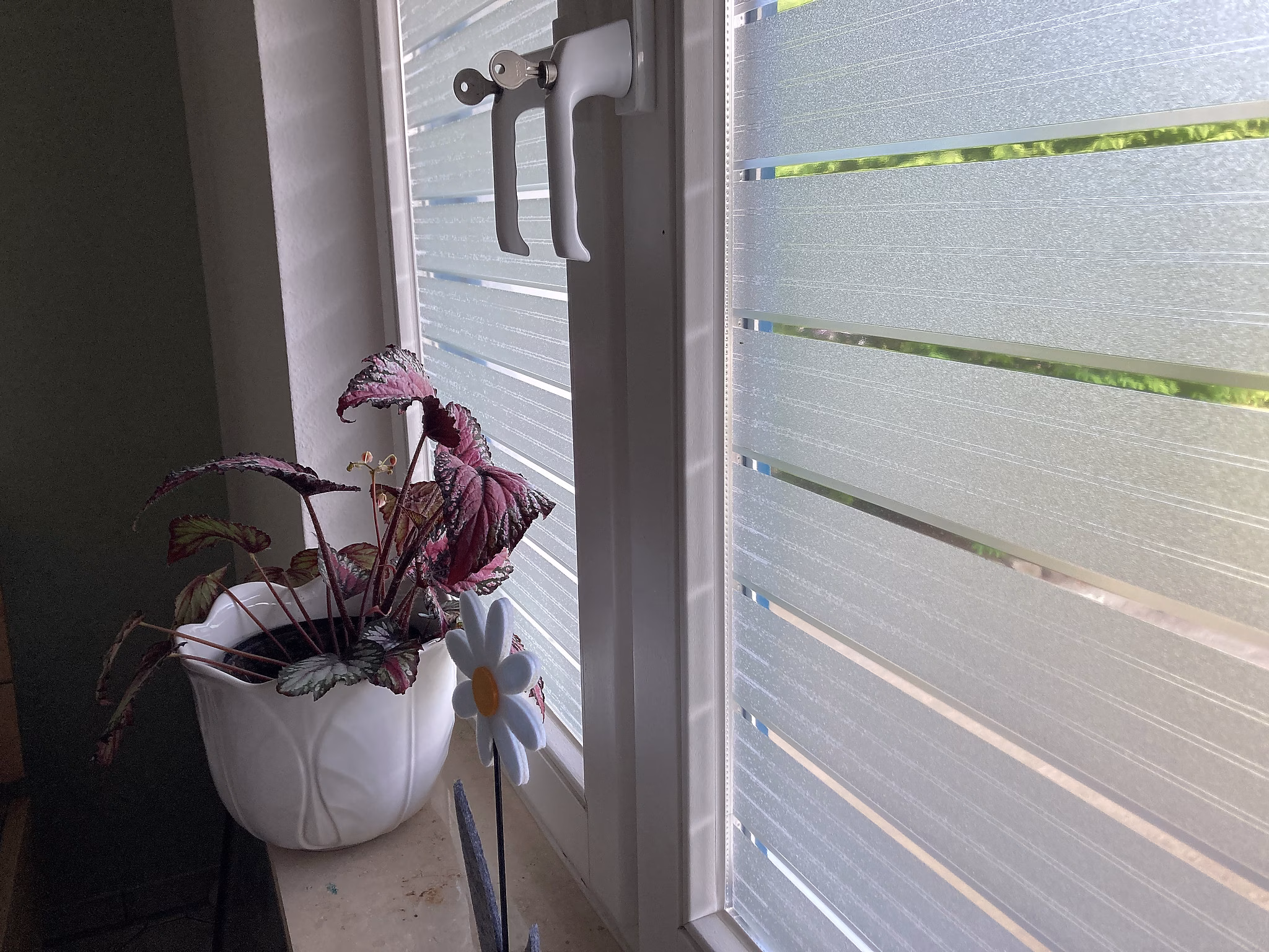 Selbsthaftende Streifenfolie auf einem Wohnzimmerfenster angebracht