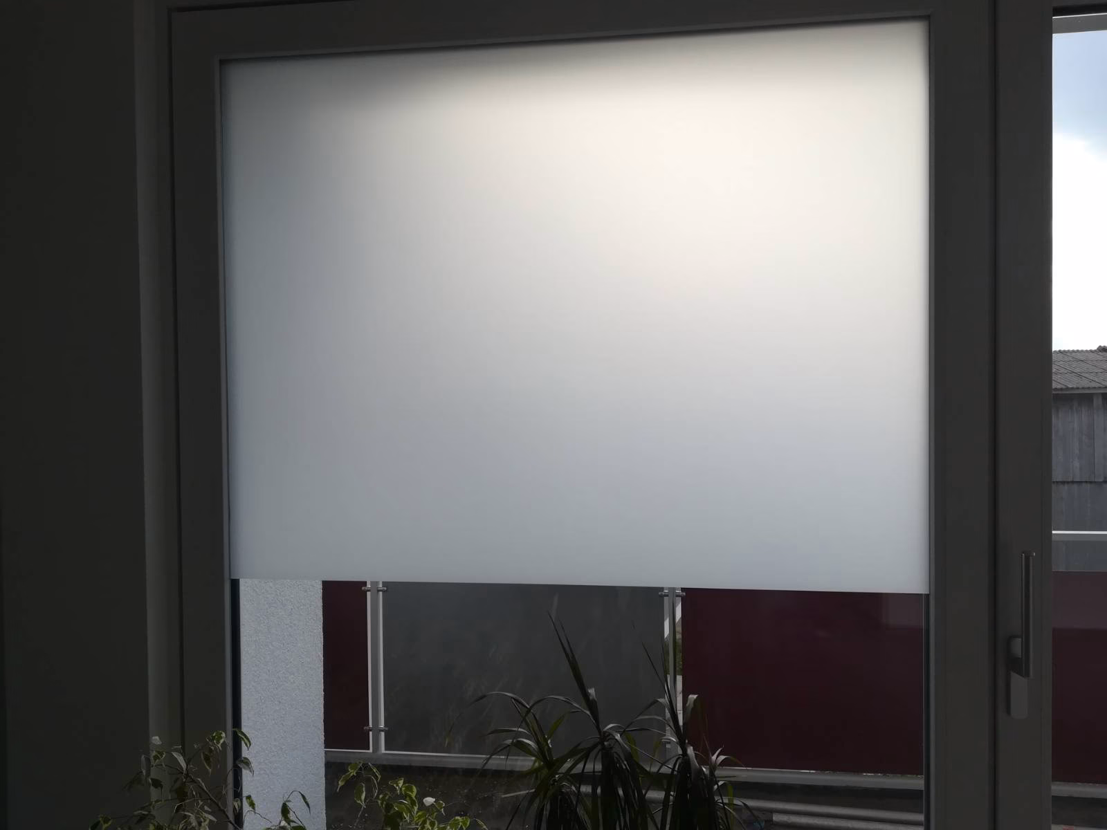 Sichtschutzfolie in weiß uni lichtdurchlässig