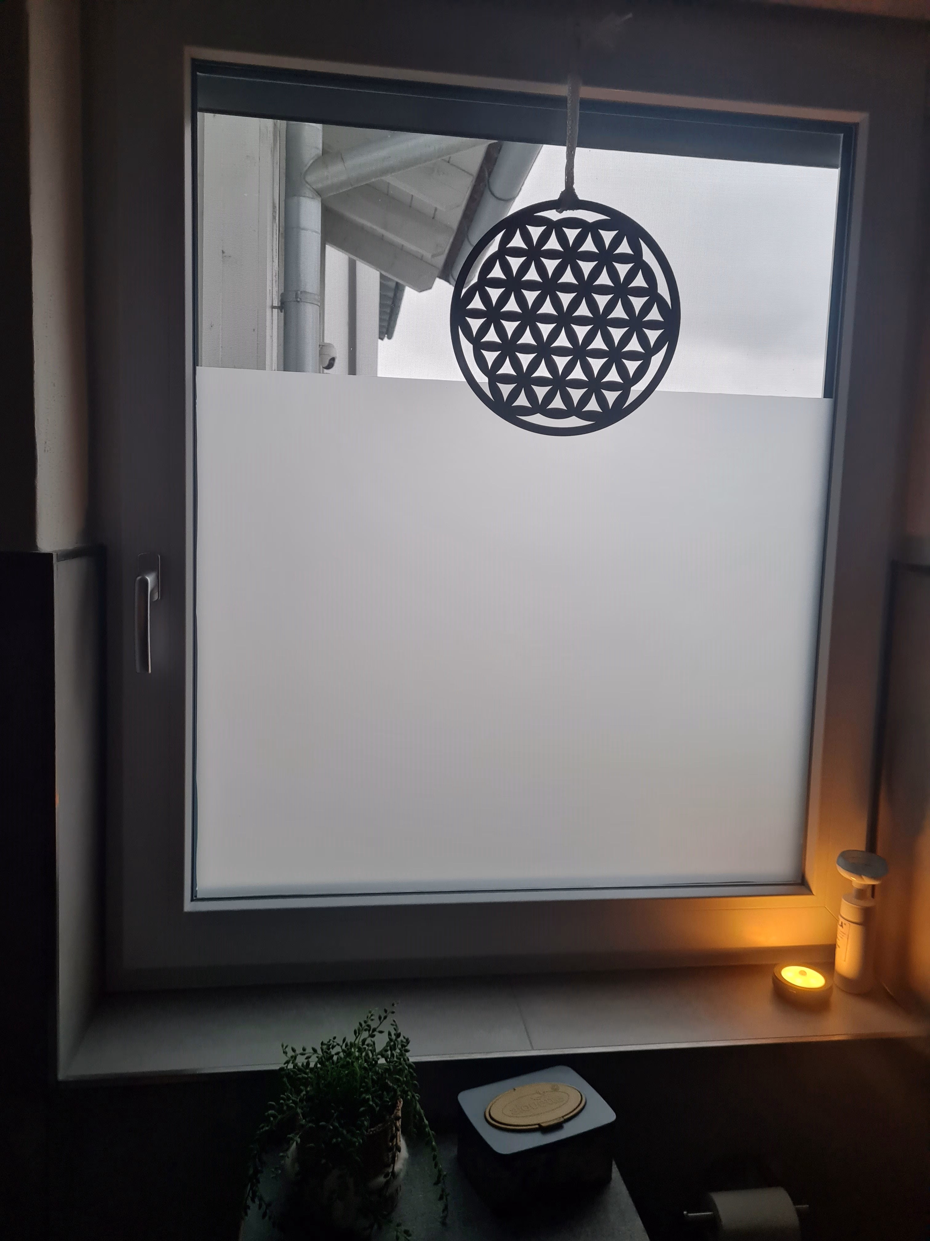 1738308263 1738308263