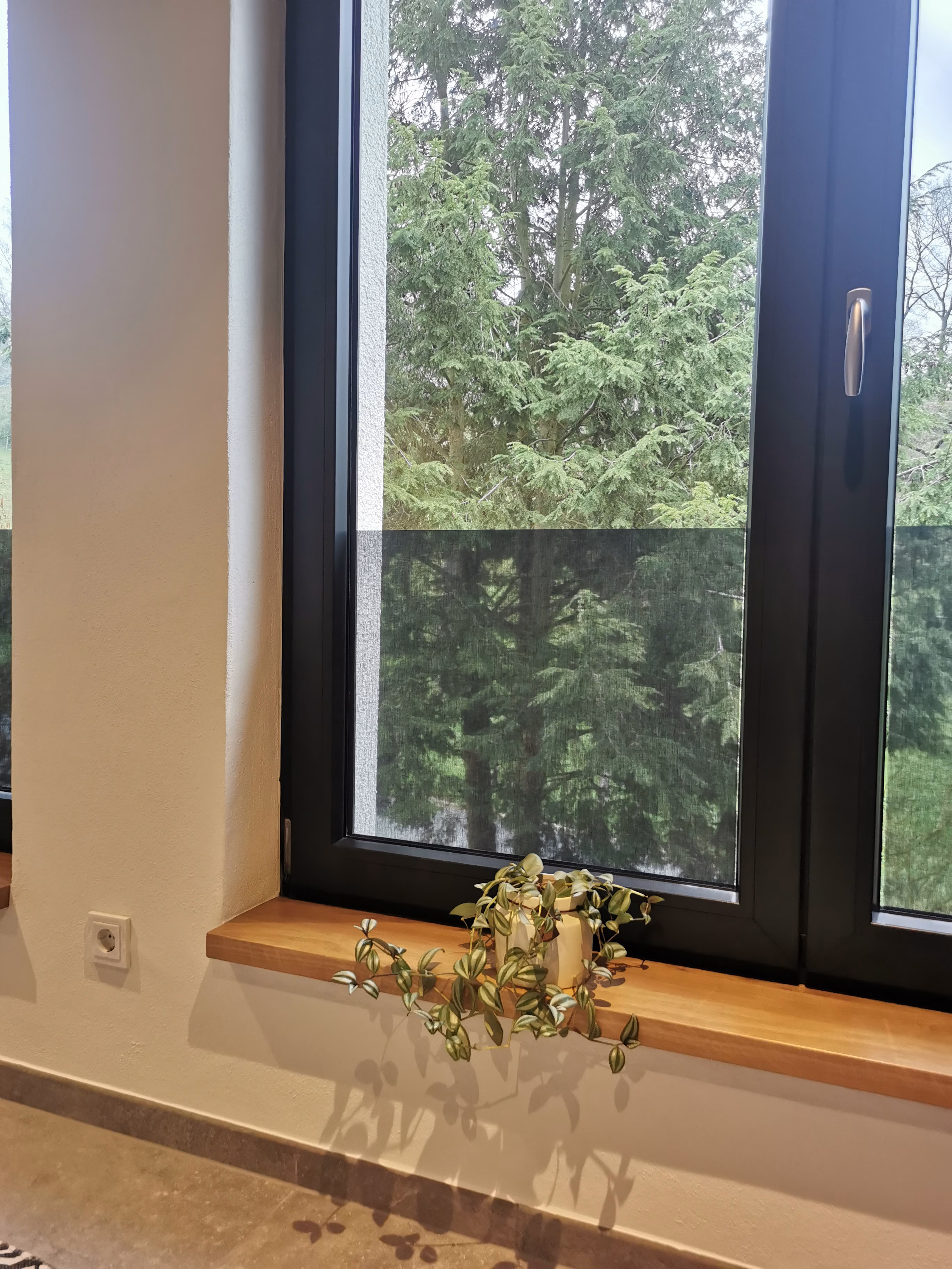 SQUID Coal Hafttextil für Fensterscheiben