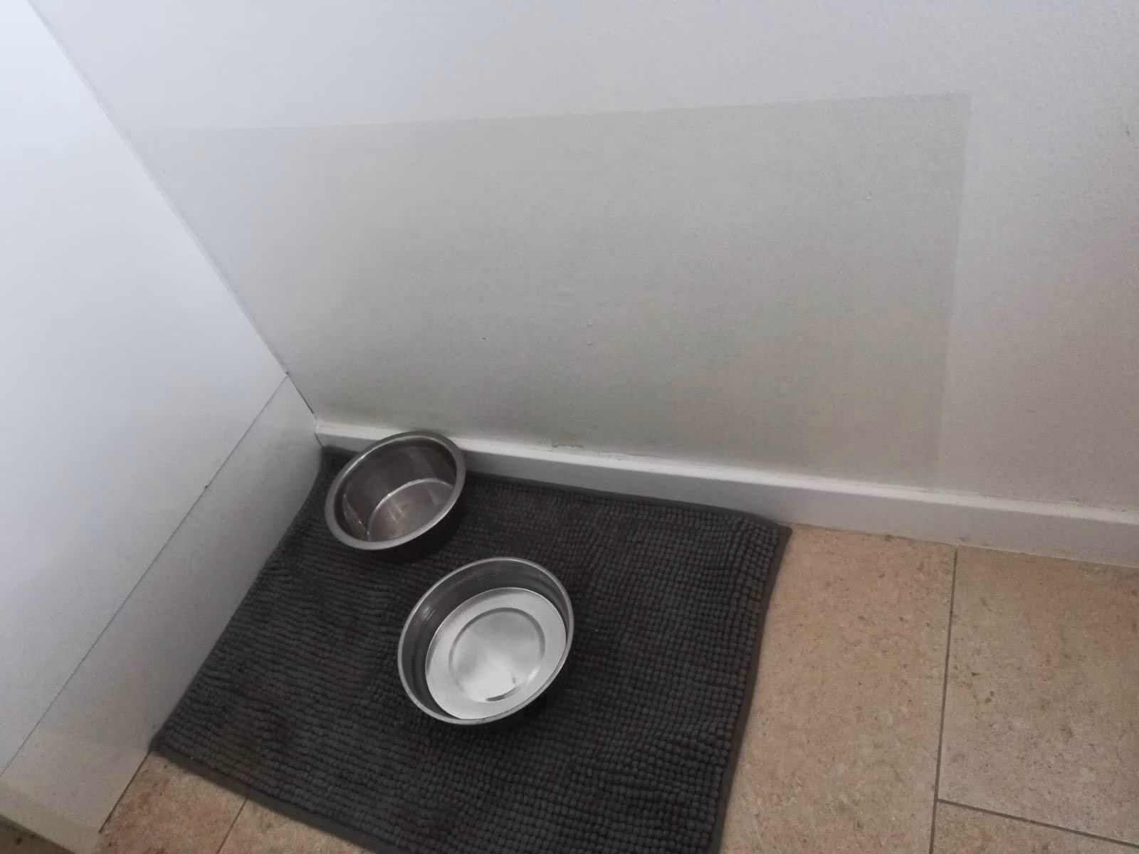 Wandschutzfolie schützt vor Hundefutterflecken