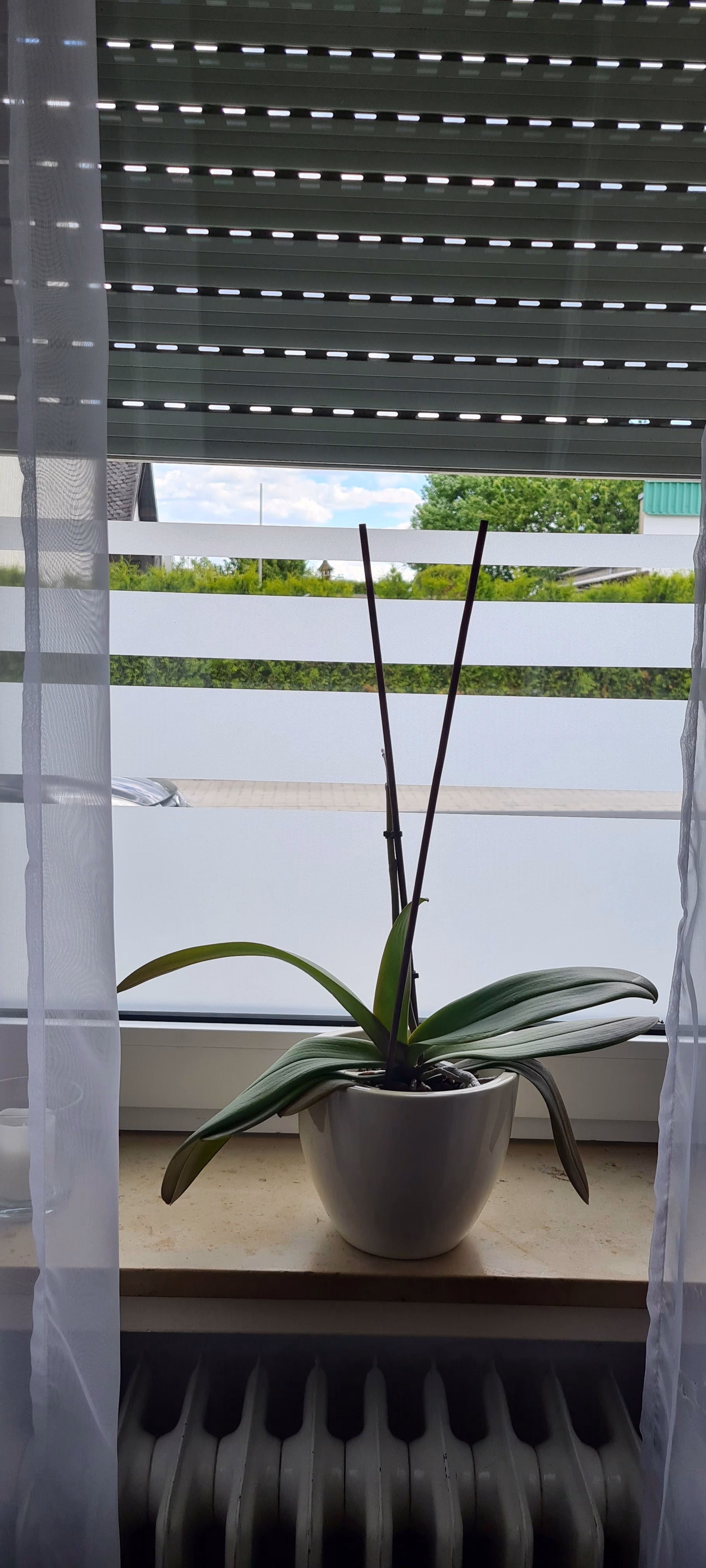 Glasdekor für Fenster, Streifen