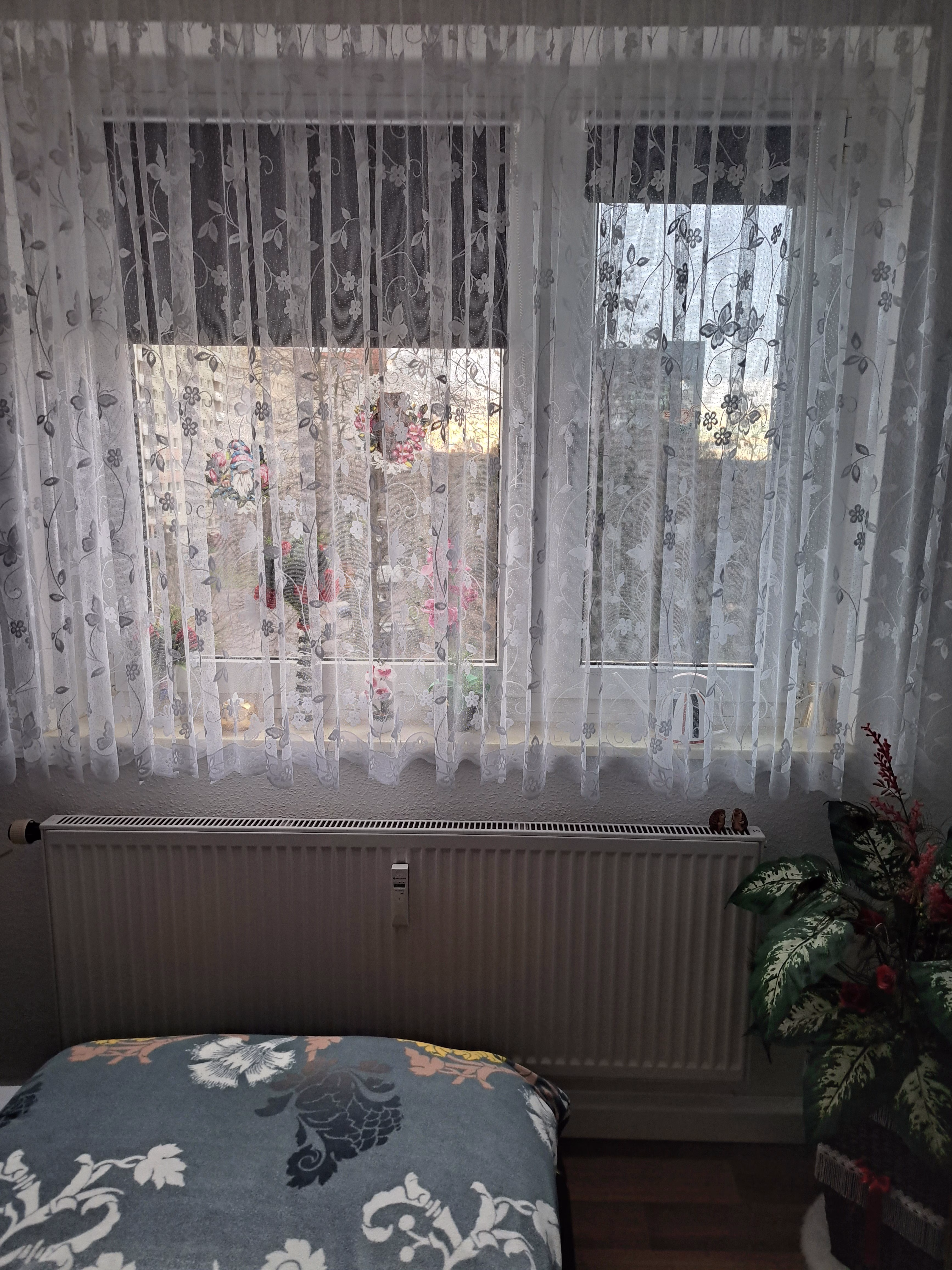 1711816038 1711816038