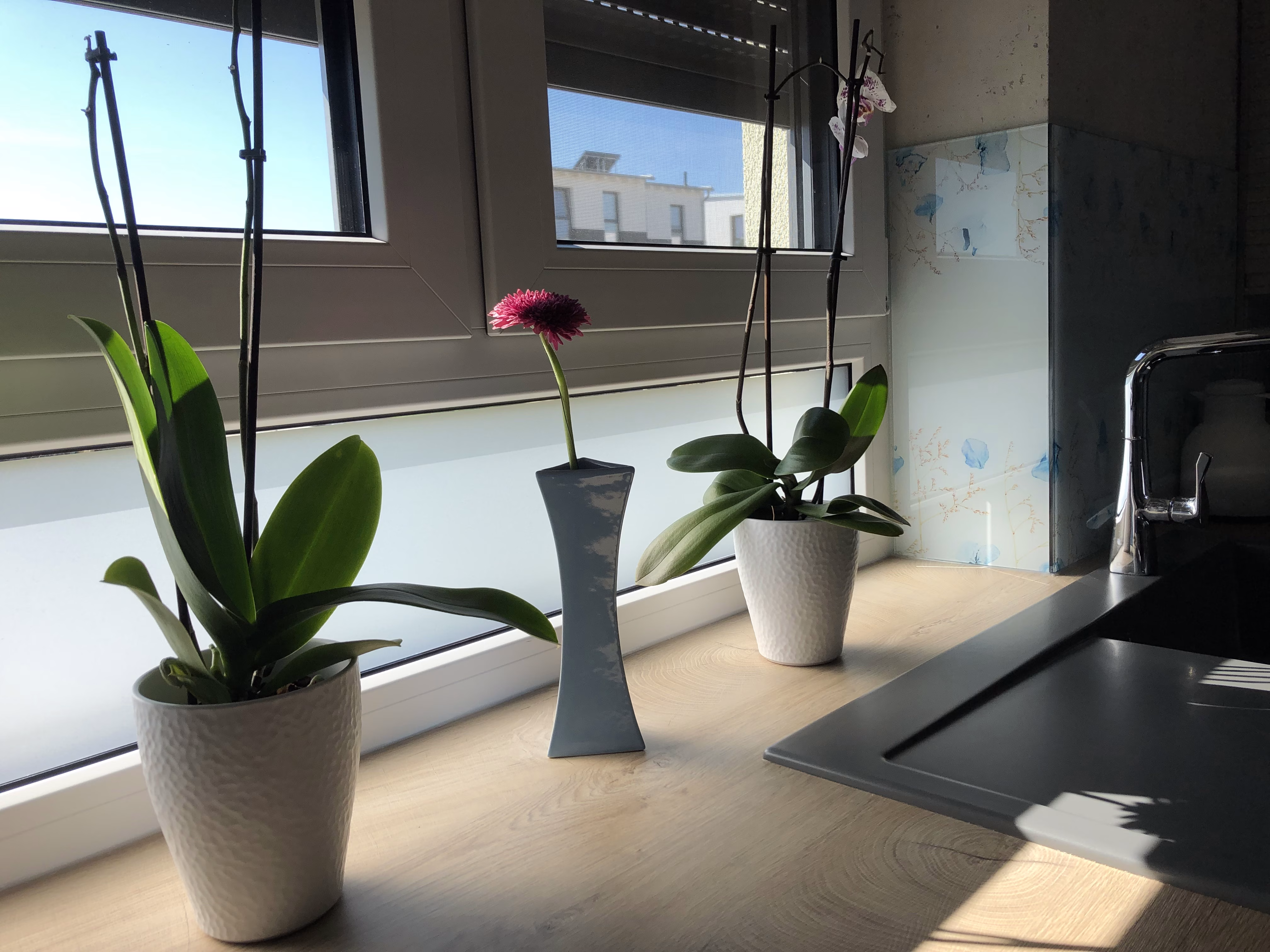 1713030692 1713030692