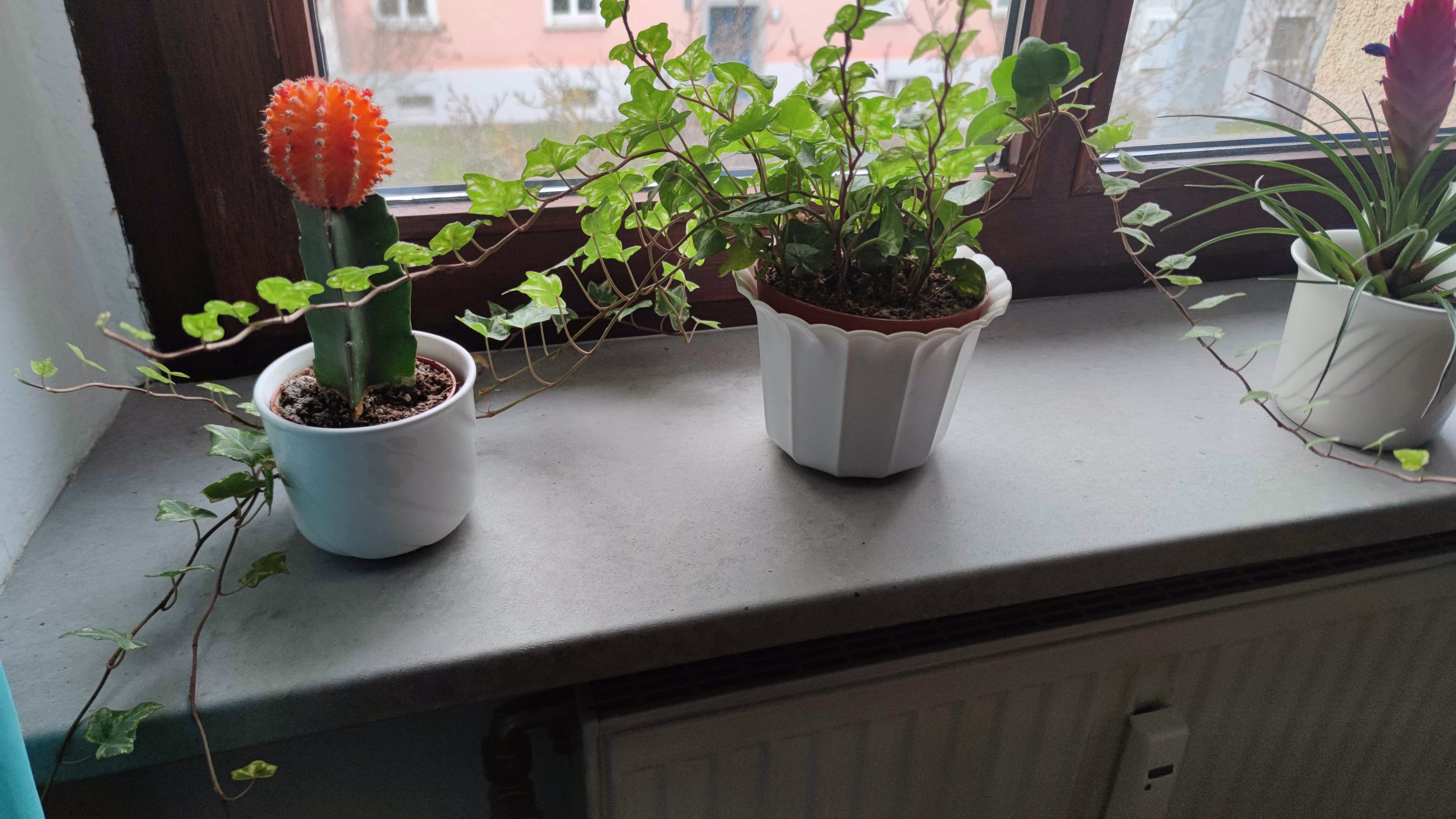 Beton, hellgrau, Klebefolie in Steinoptik