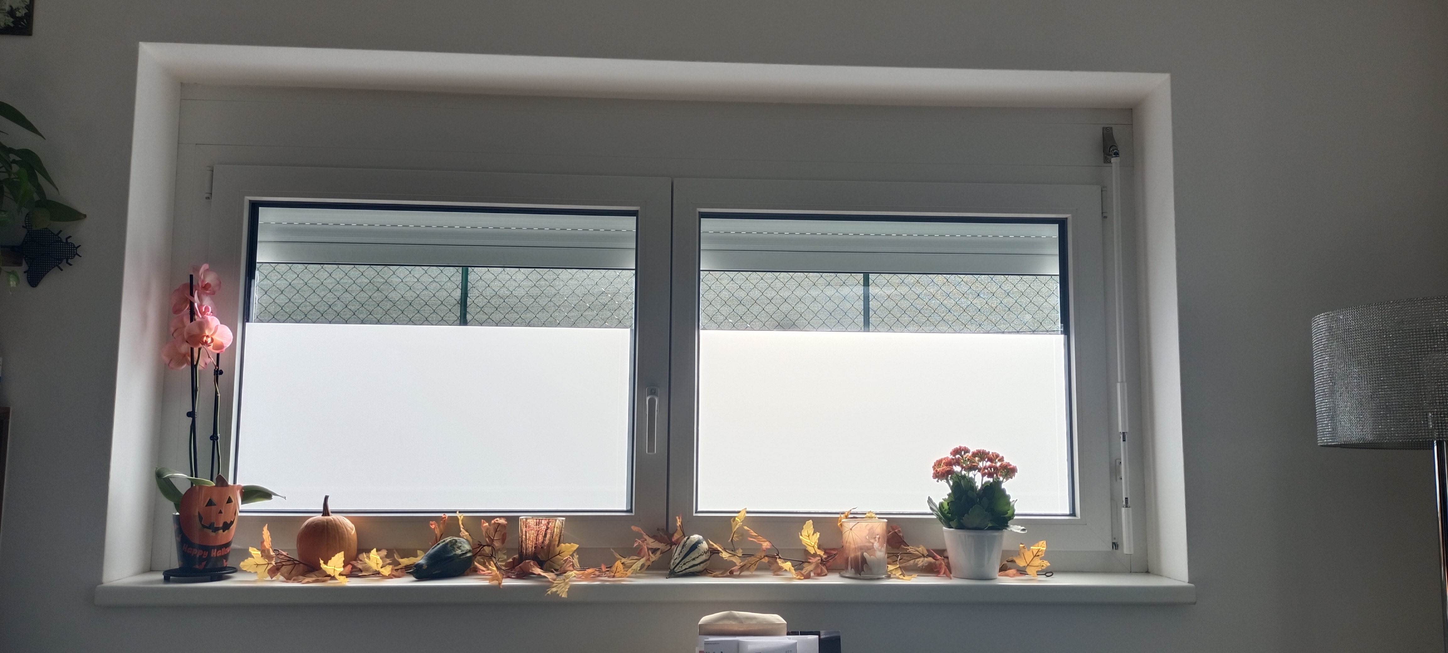 Fensterfolie halbhoch in Milchglasoptik