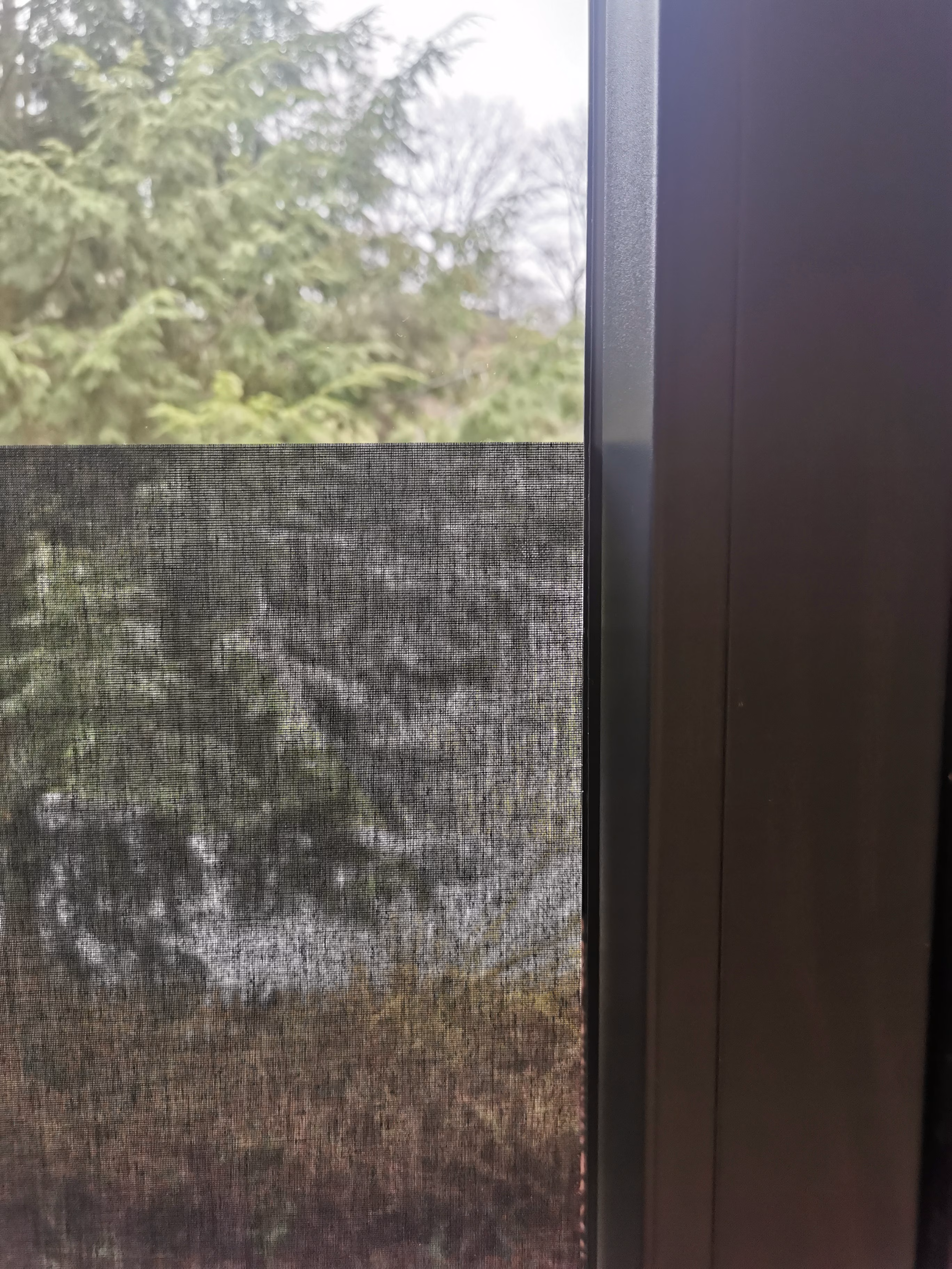 SQUID im Farbton Coal