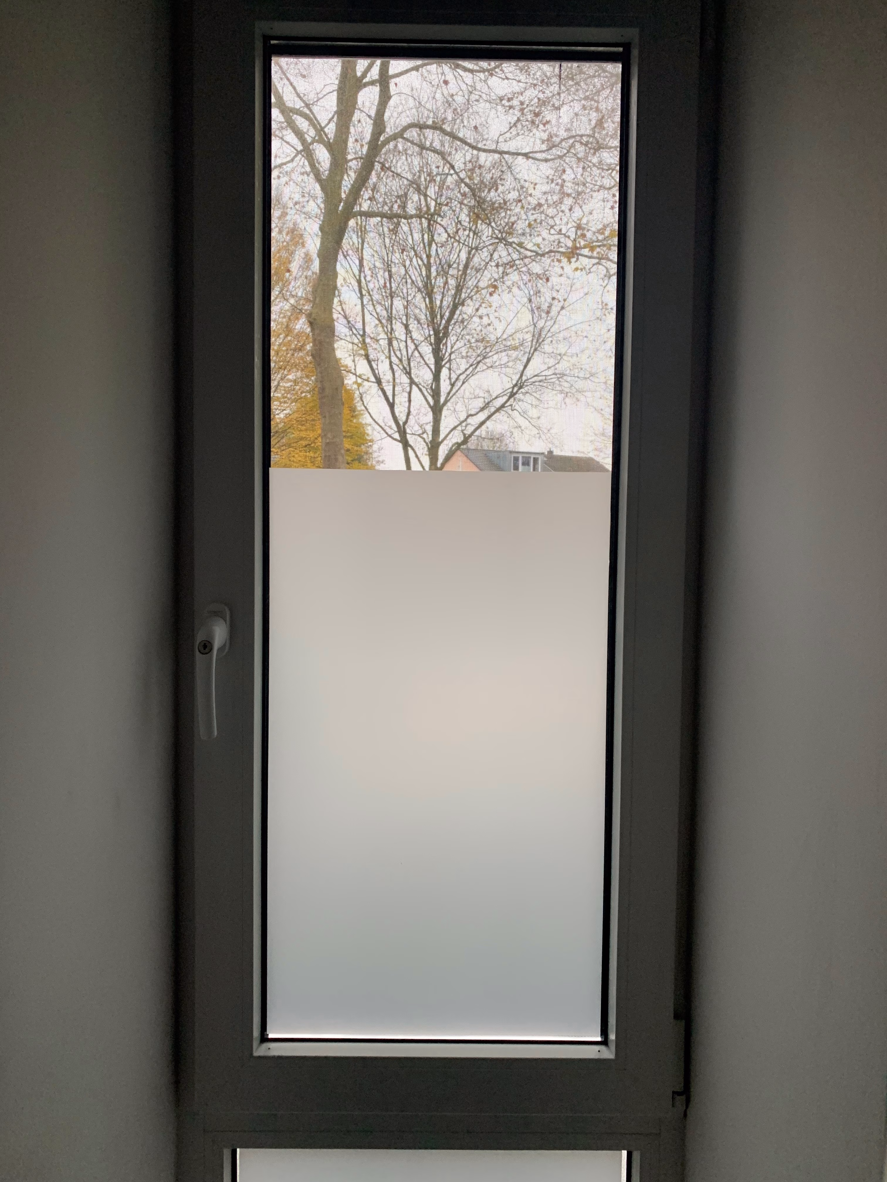 Sichtschutzfolie lichtdurchlässig weiß matt