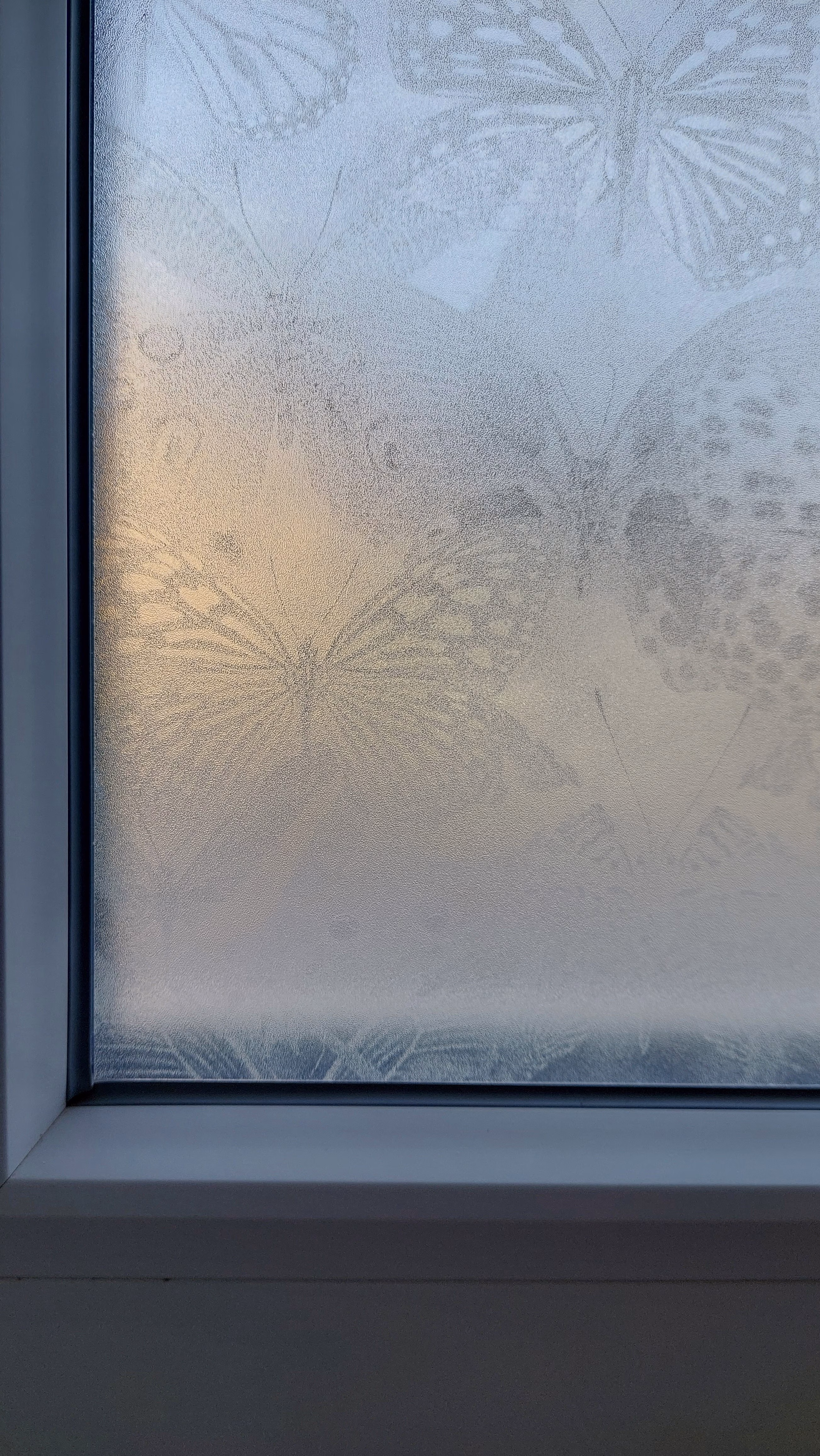 Sichtschutzfolie, Schmetterlinge frosted