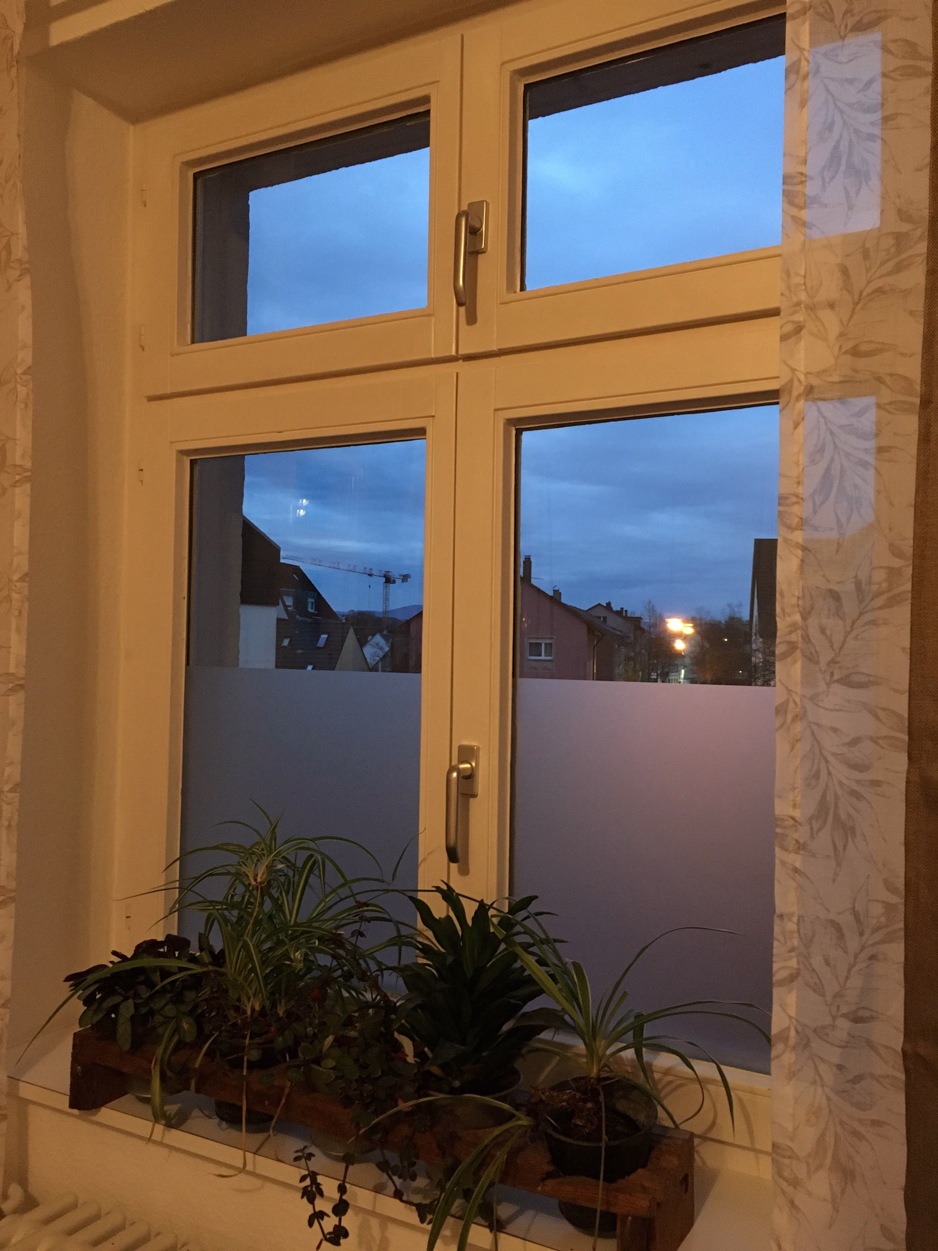 Sichtschutzfolie kleberlos mit Ätzglasoptik