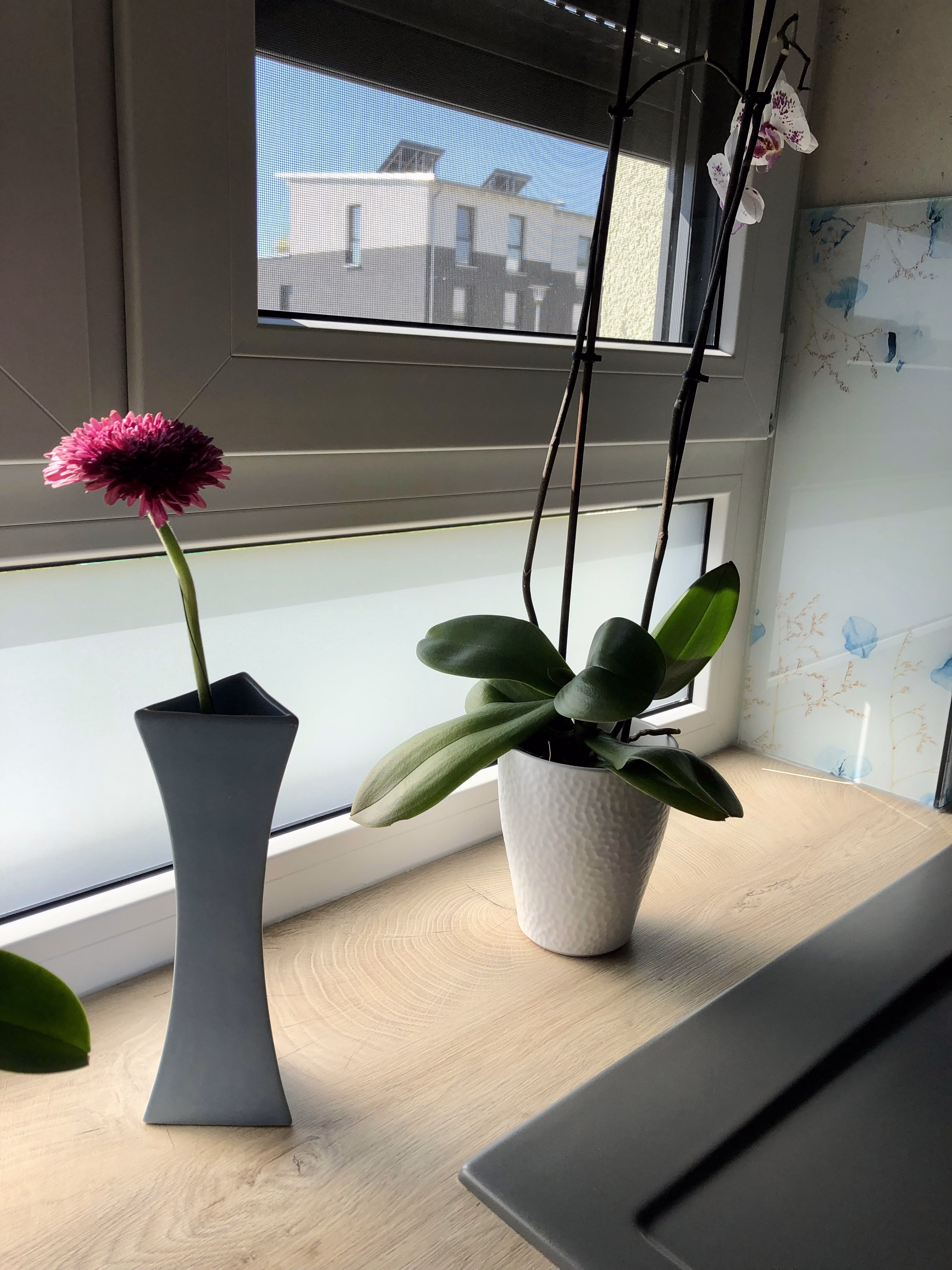 1713030697 1713030697