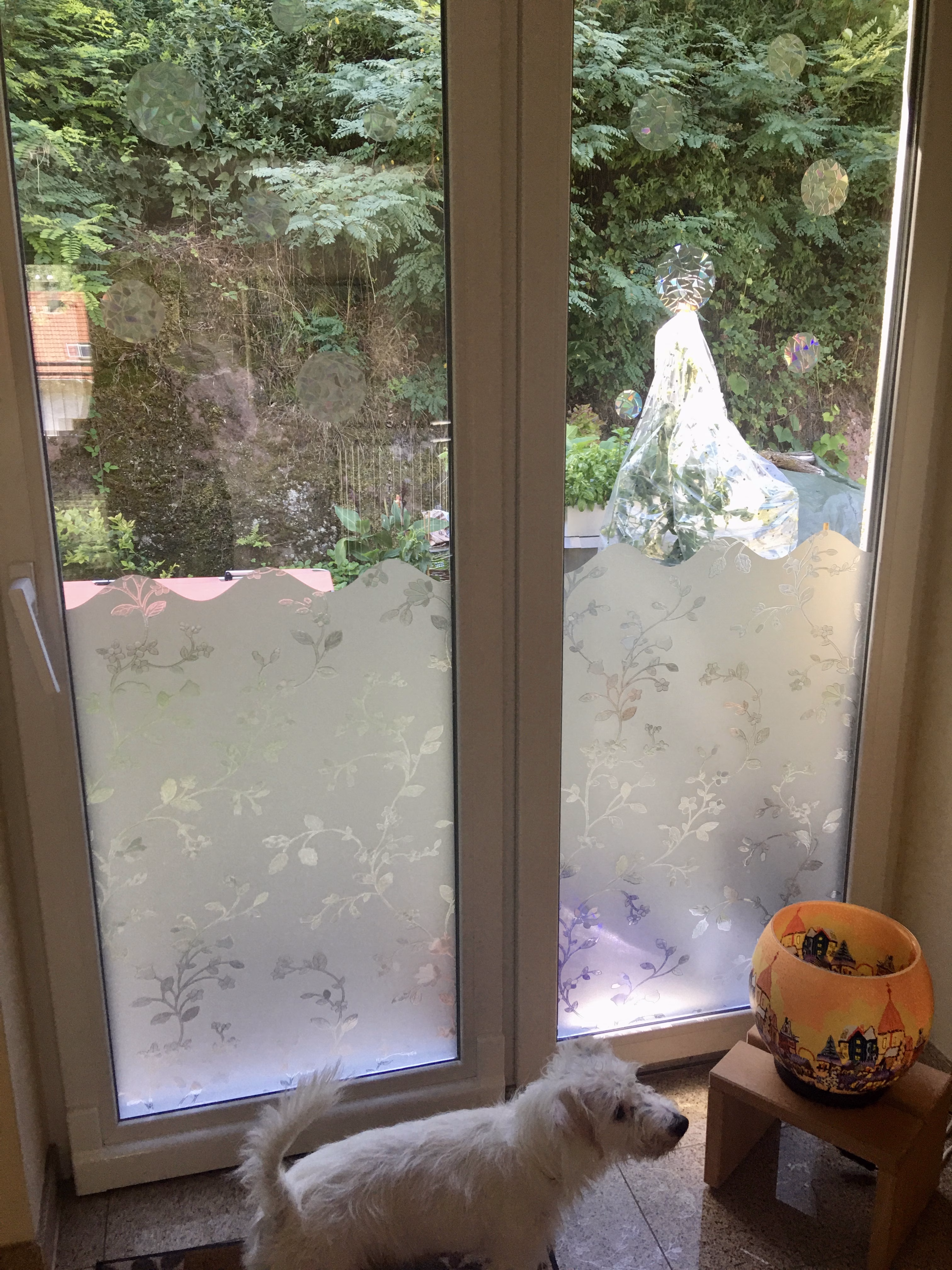 Fensterfolie mit Blumenranken