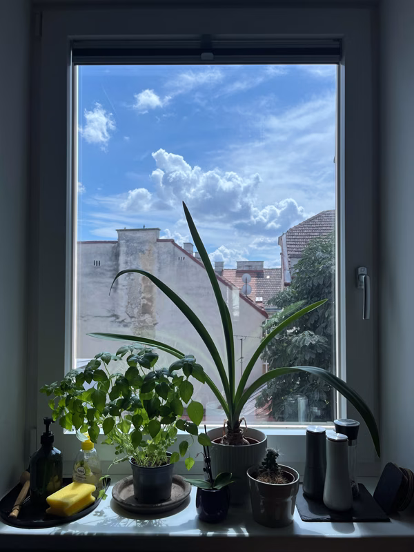 Sonnenschutzfolie, silber stark verspiegelt