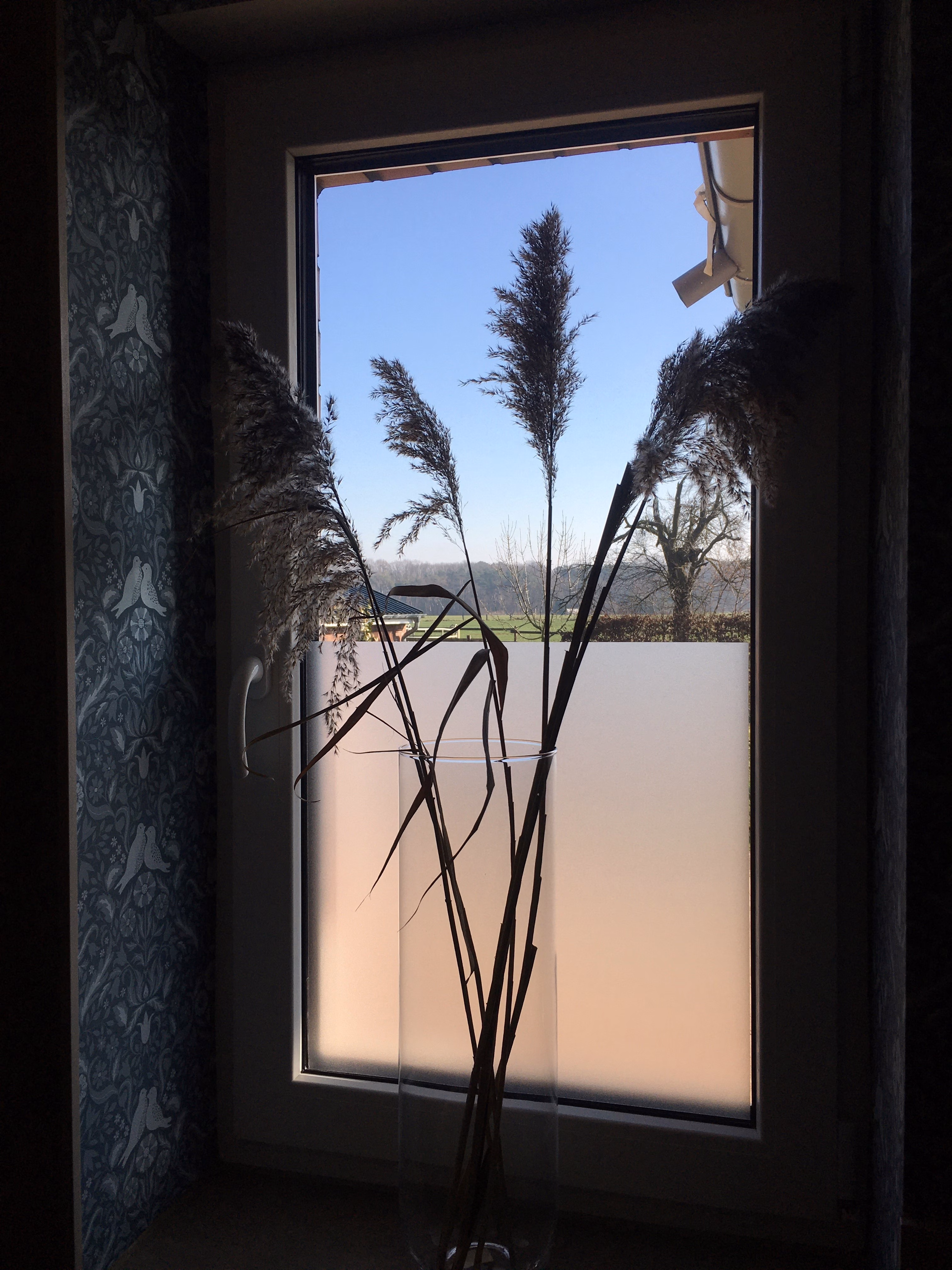 Sichtschutzfolie transparent matt im Gästebad