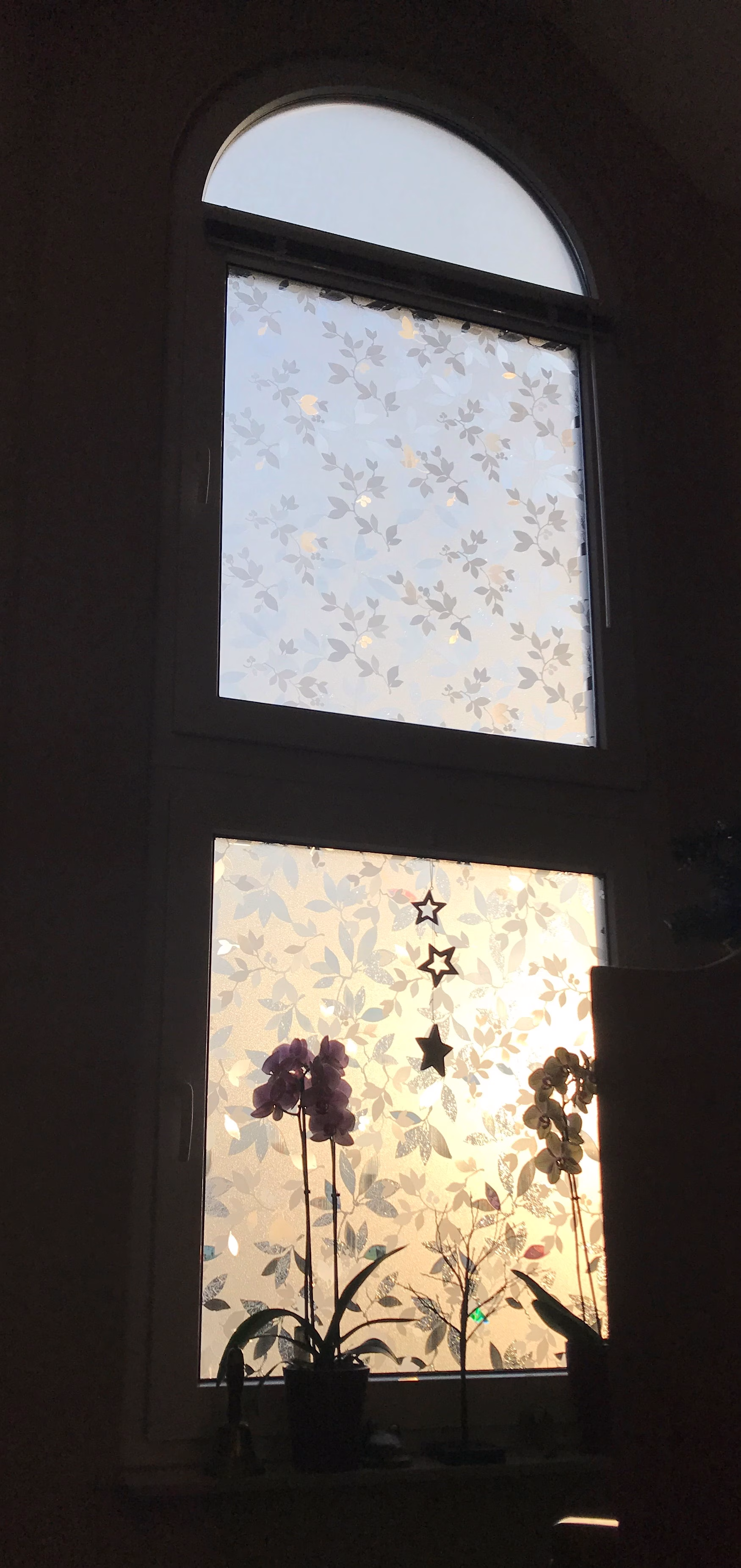 Adhäsionsfolie transparente und geprägte Blätter