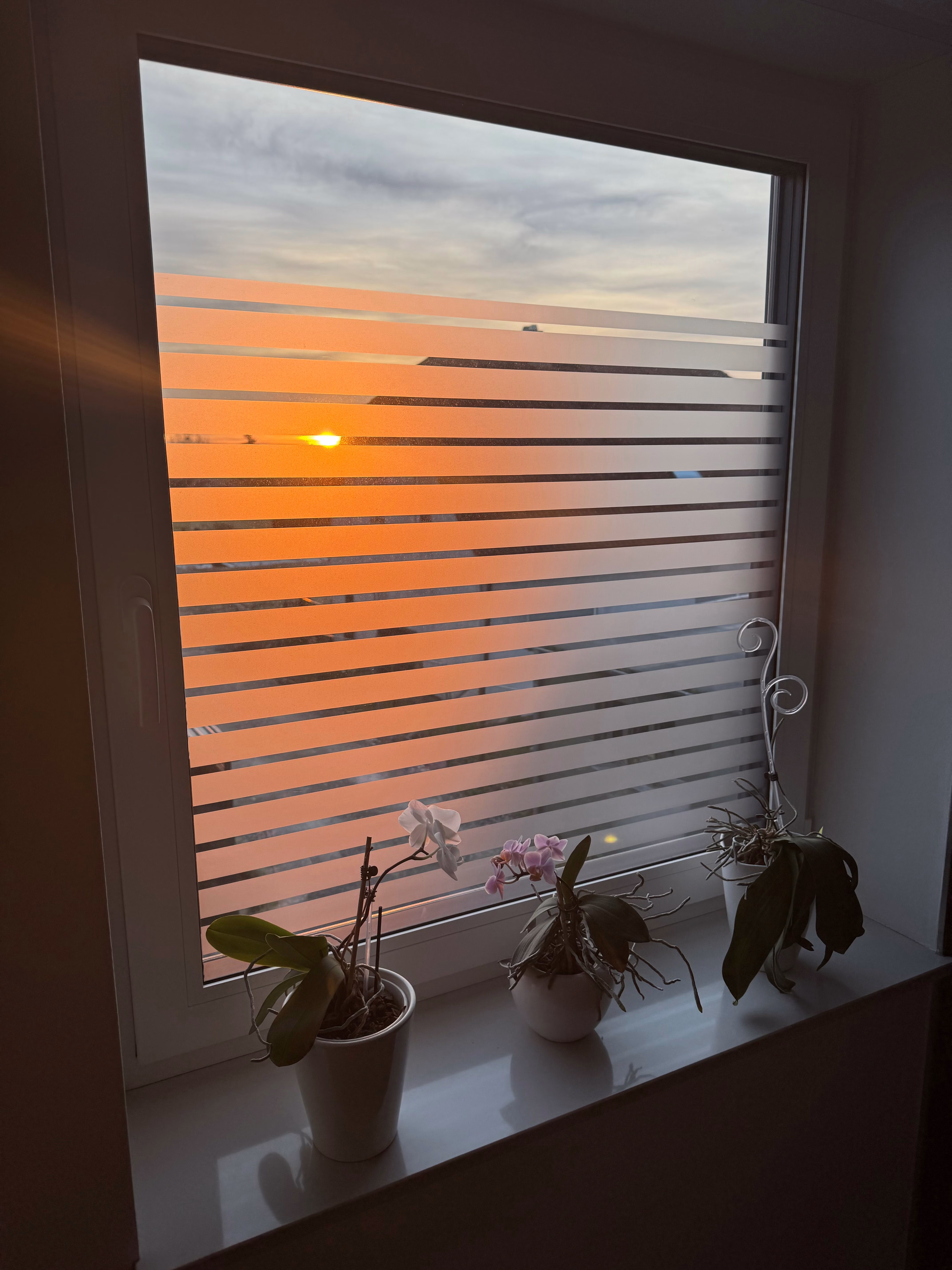 Dekorfolie, horizontale transparent-weiße Streifen, Breite 35 mm