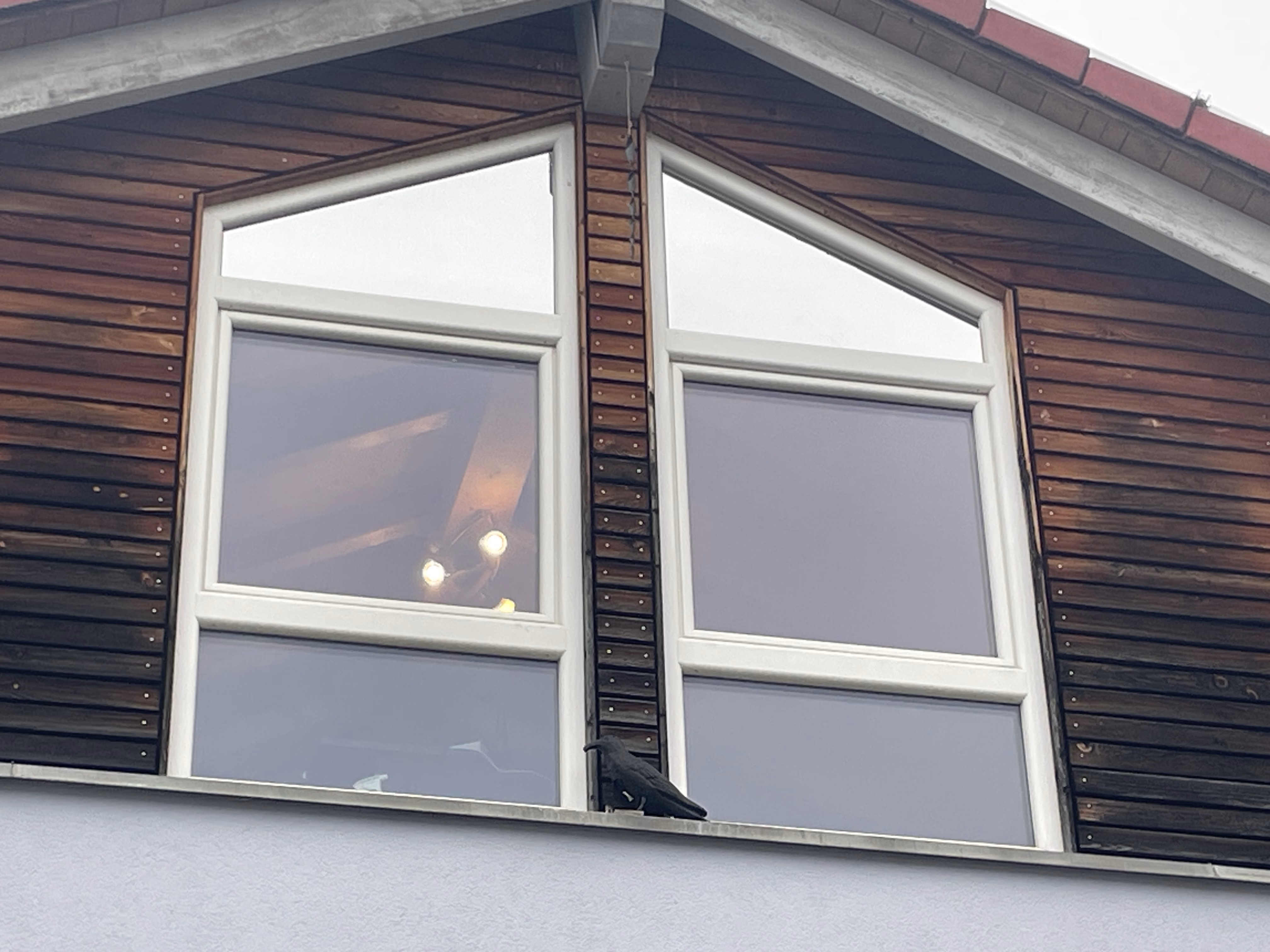 Sonnenschutzfolie, silber stark verspiegelt