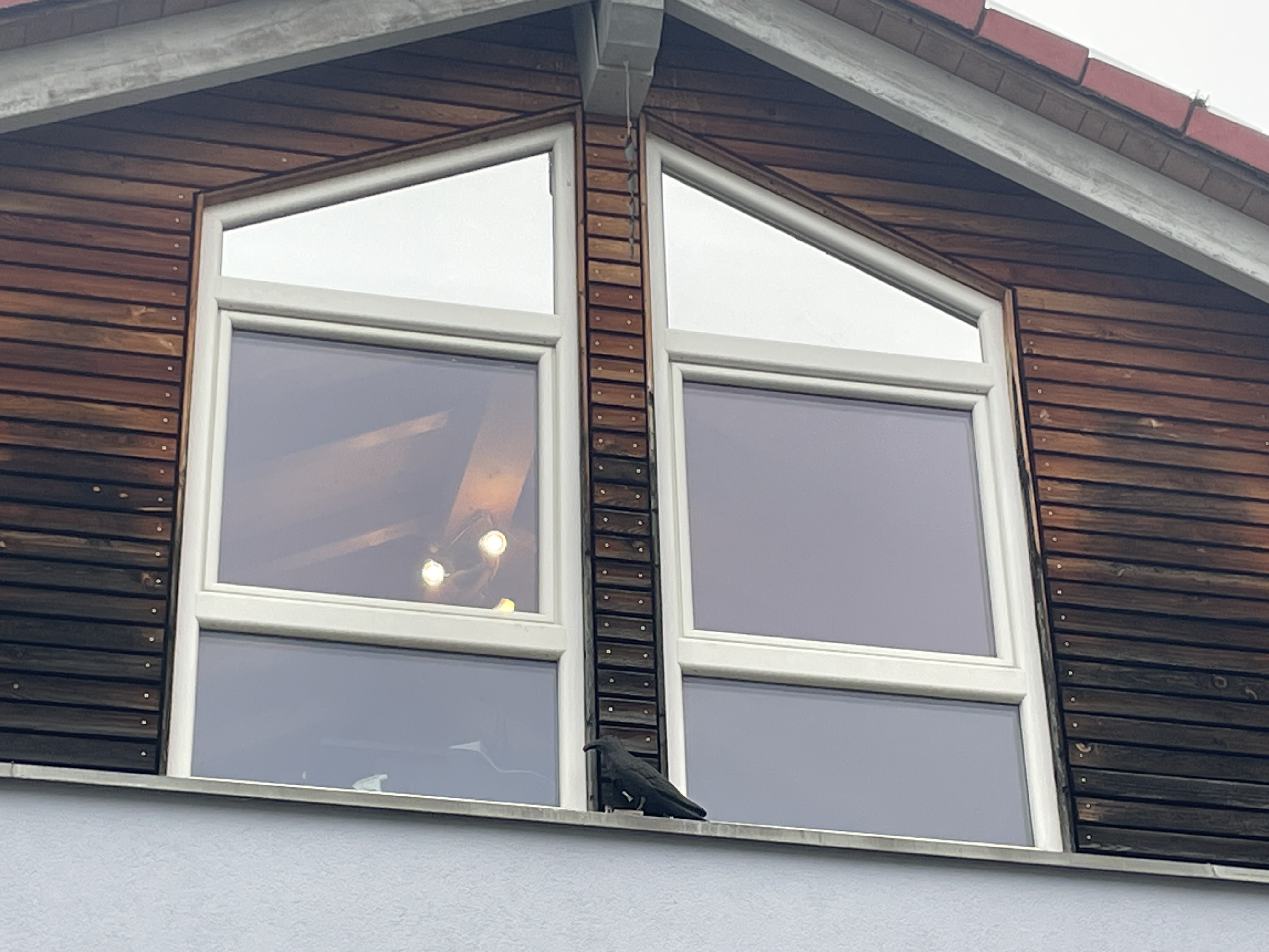 Sonnenschutzfolie, silber stark verspiegelt