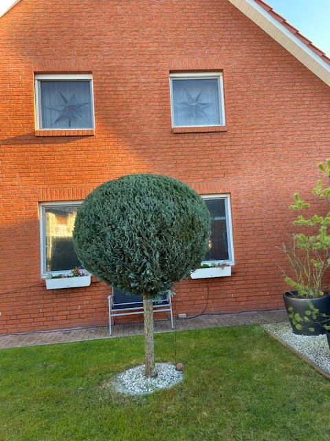 Aussenansicht Spionspiegelfolie