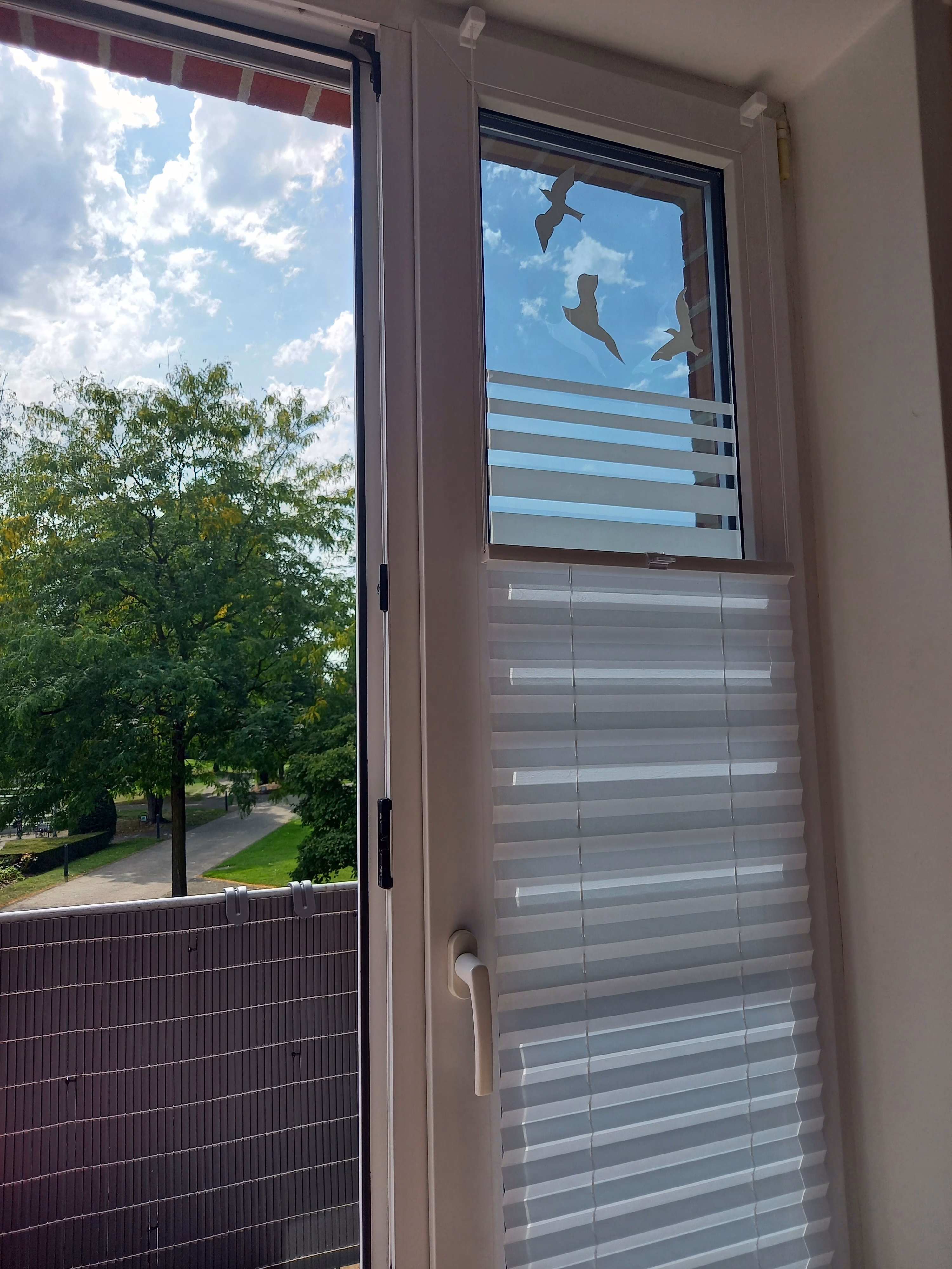 1723553557 1723553557