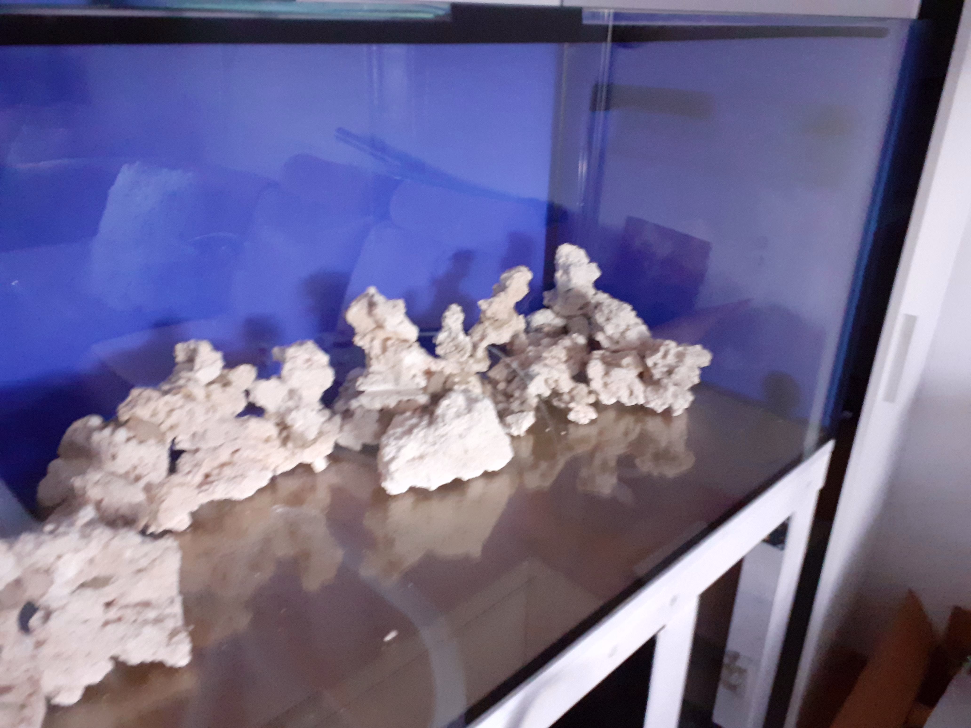 undurchsichtige blaue Farbfolie als Rückwand eines Meerwasseraquariums