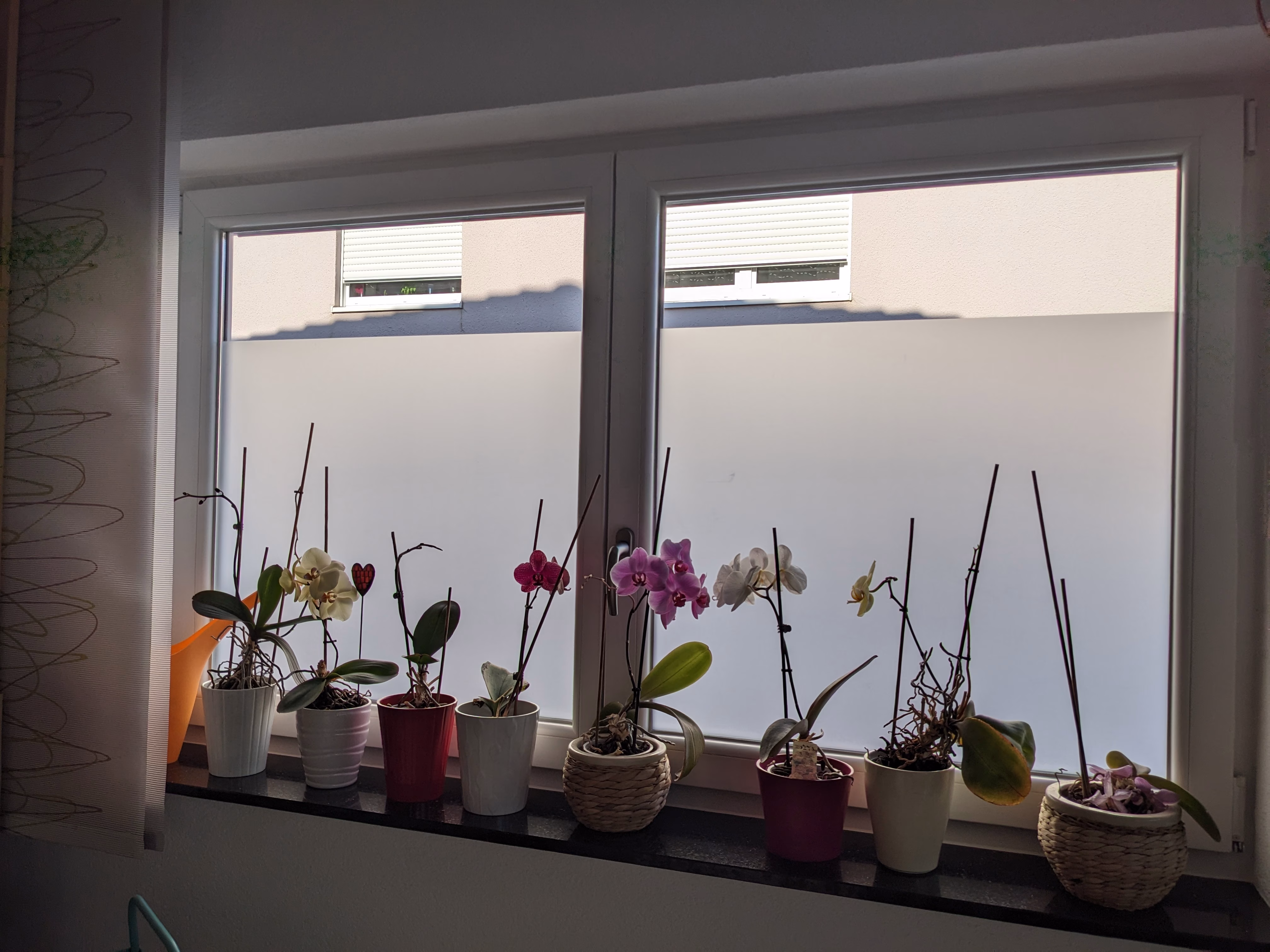 Ätzglasoptik Fensterfolie Sichtschutz