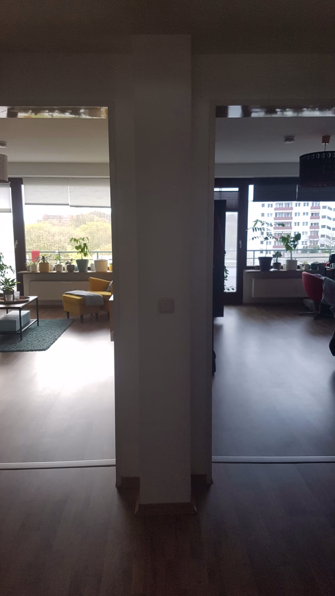 1650615648 1650615648